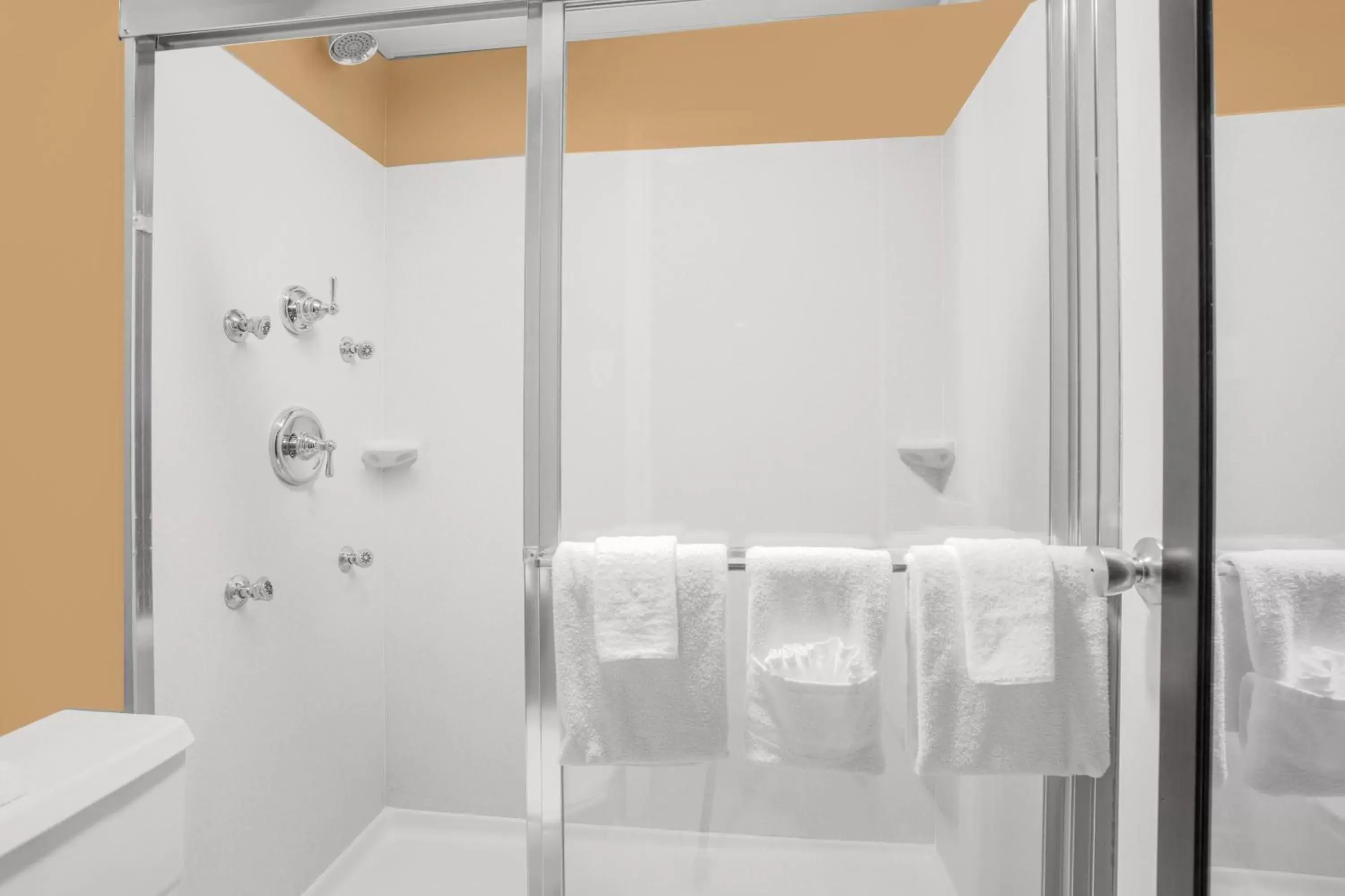 Shower, Bathroom in North Platte Inn and Suites