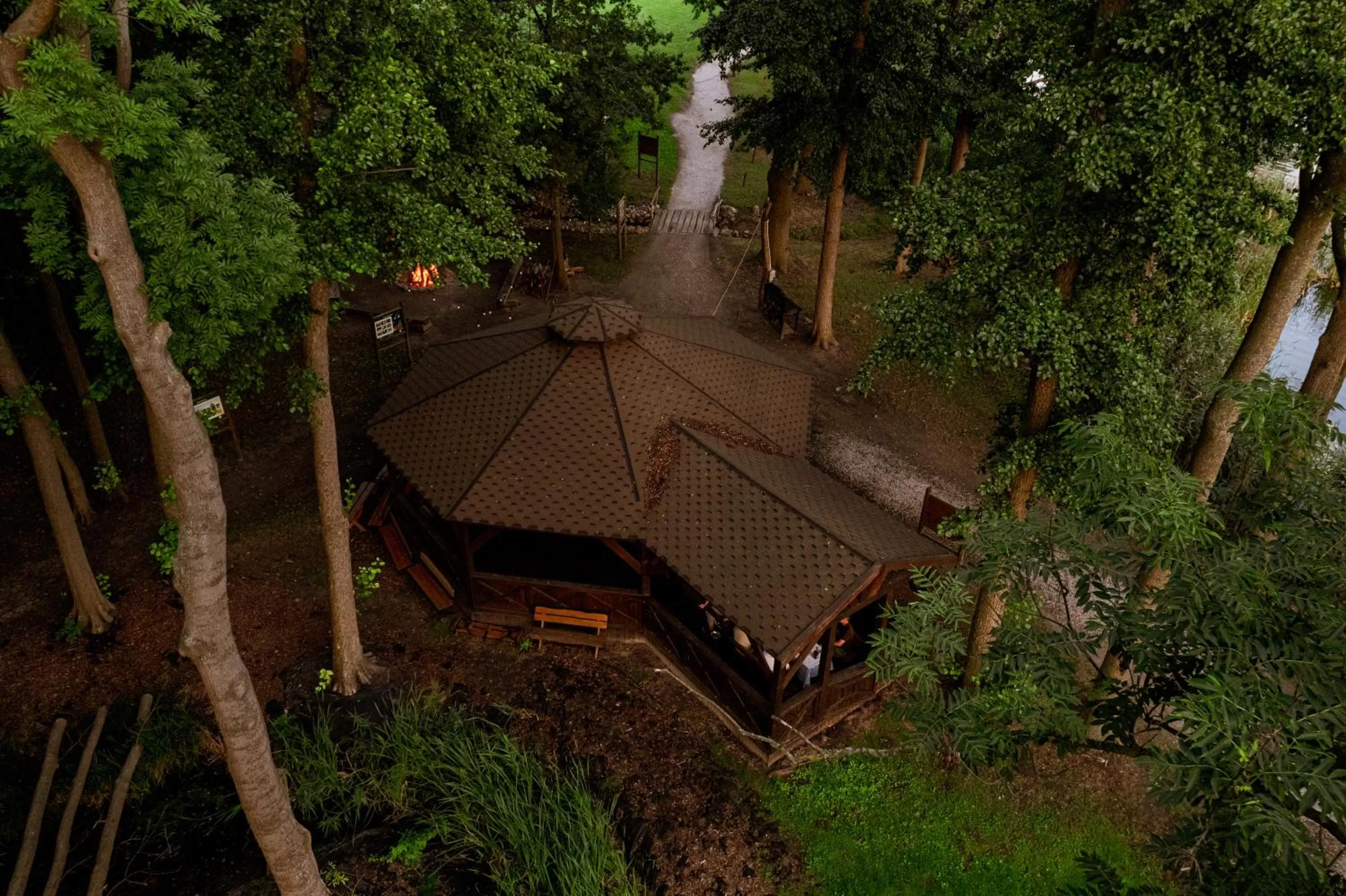 Windsurfing in Olandia