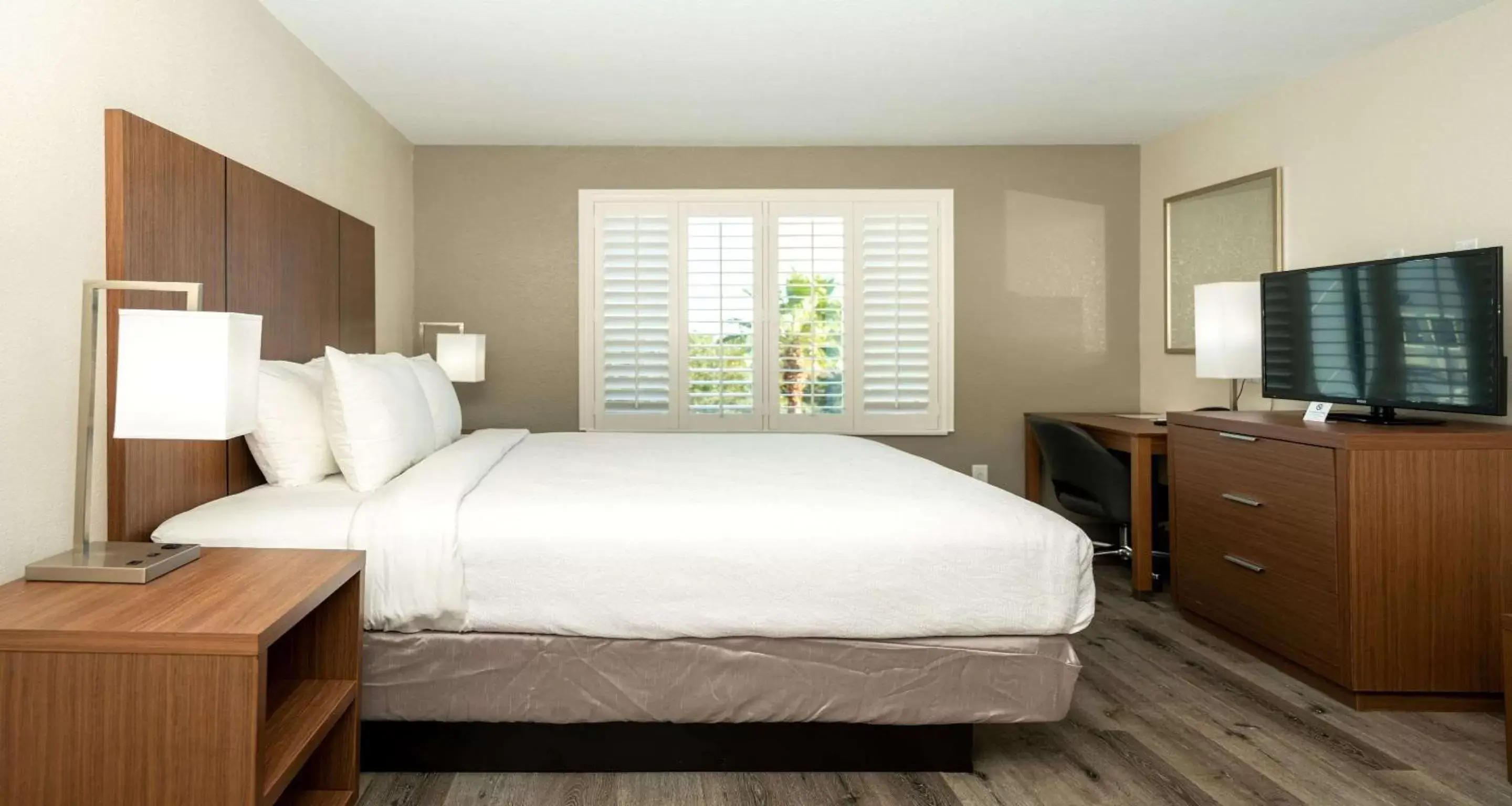 Bed in Best Western Houston Bush IAH Intercontinental Airport Inn Bed in Best Western Houston Bush IAH Intercontinental Airport Inn