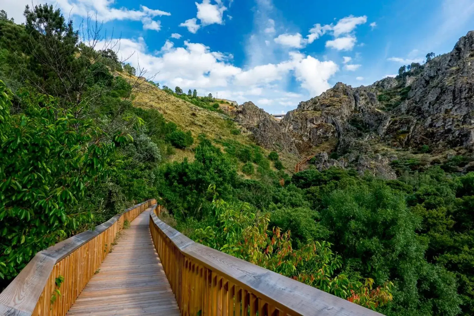 Mountain View in Quinta do Rio Noémi