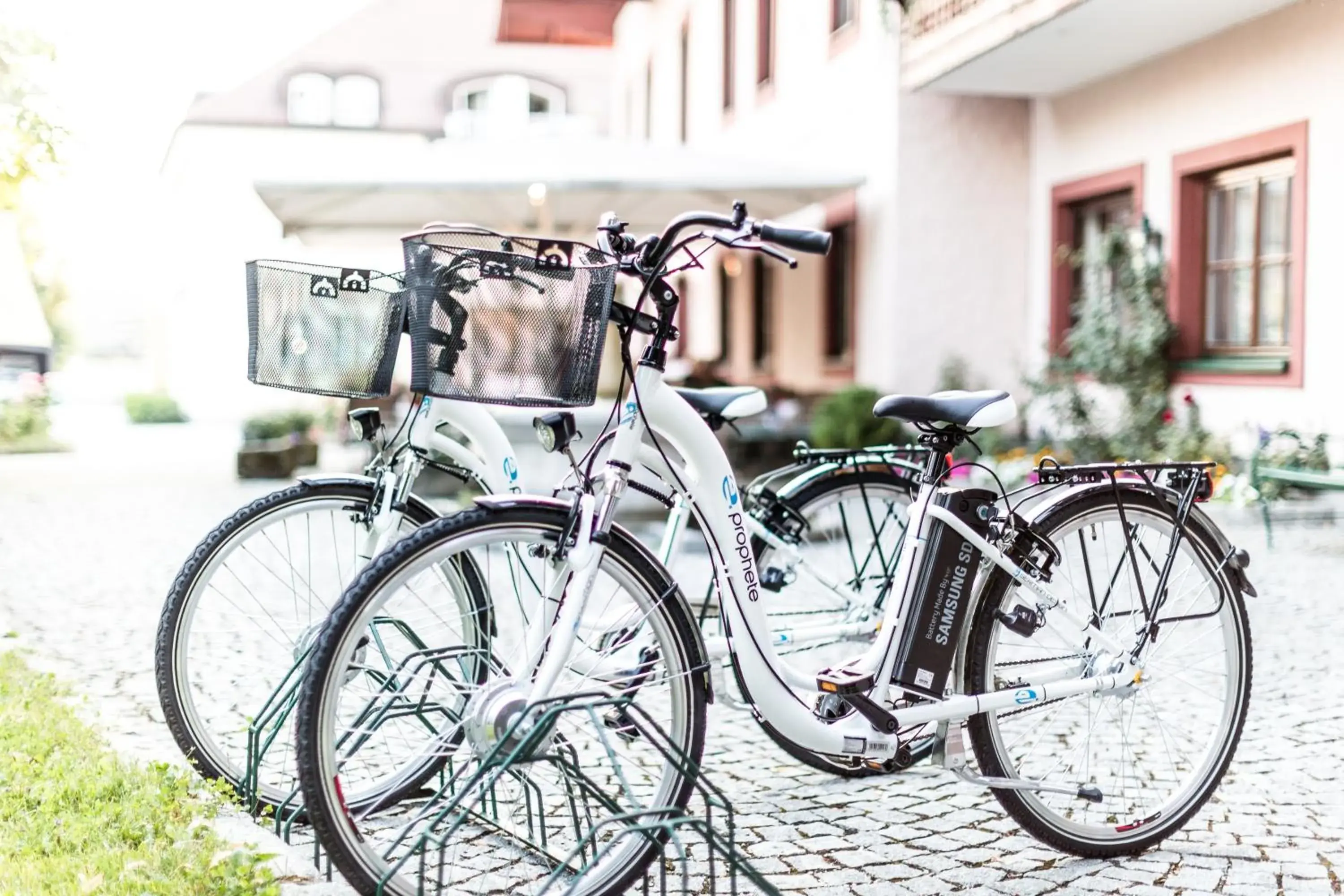 Cycling, Biking in Salzburg Hotel Holznerwirt
