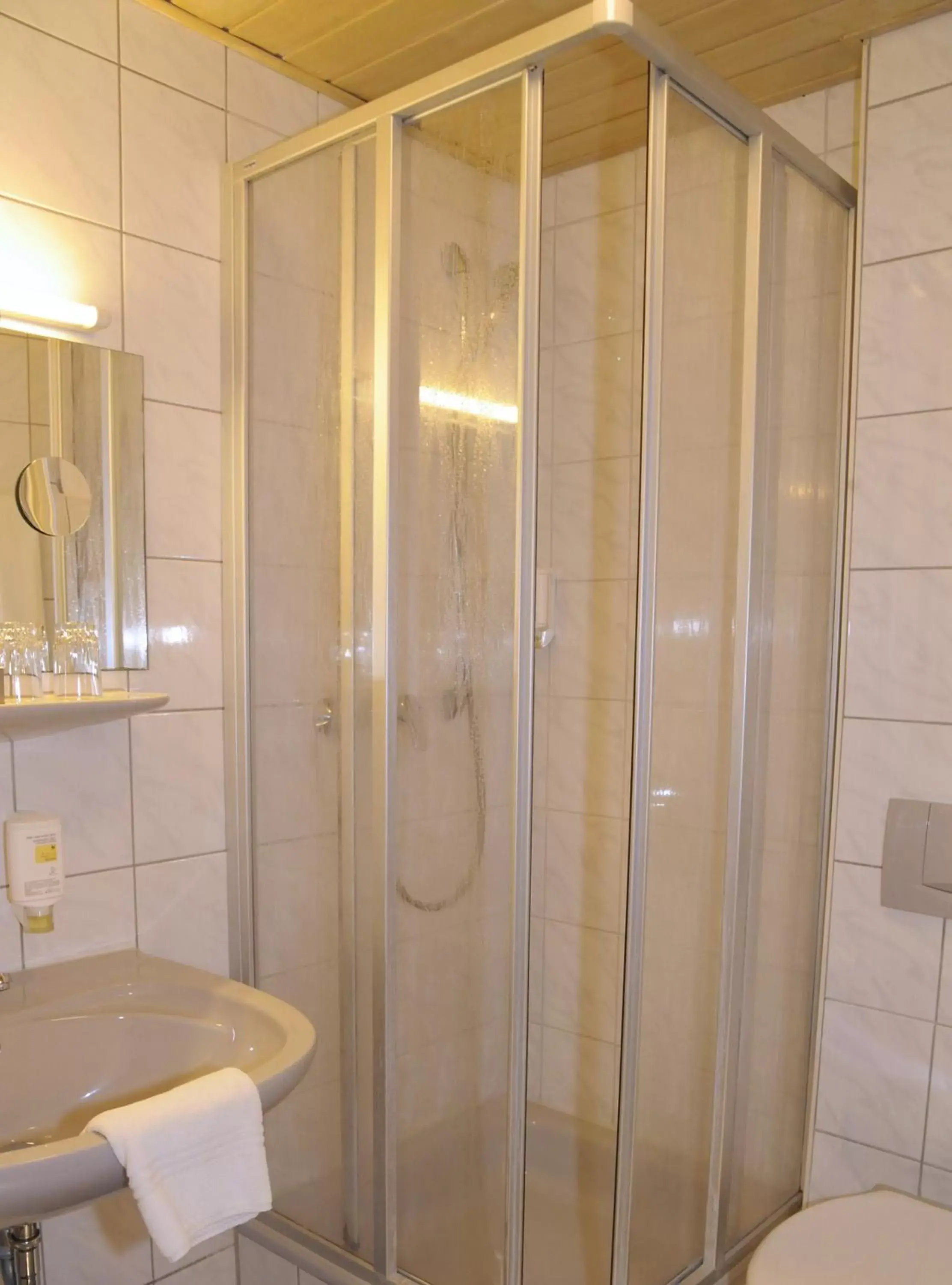 Shower, Bathroom in Hotel Goldener Karpfen