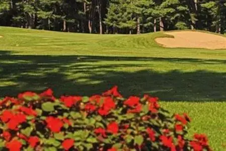 Golfcourse, Garden in Gideon Putnam Resort & Spa