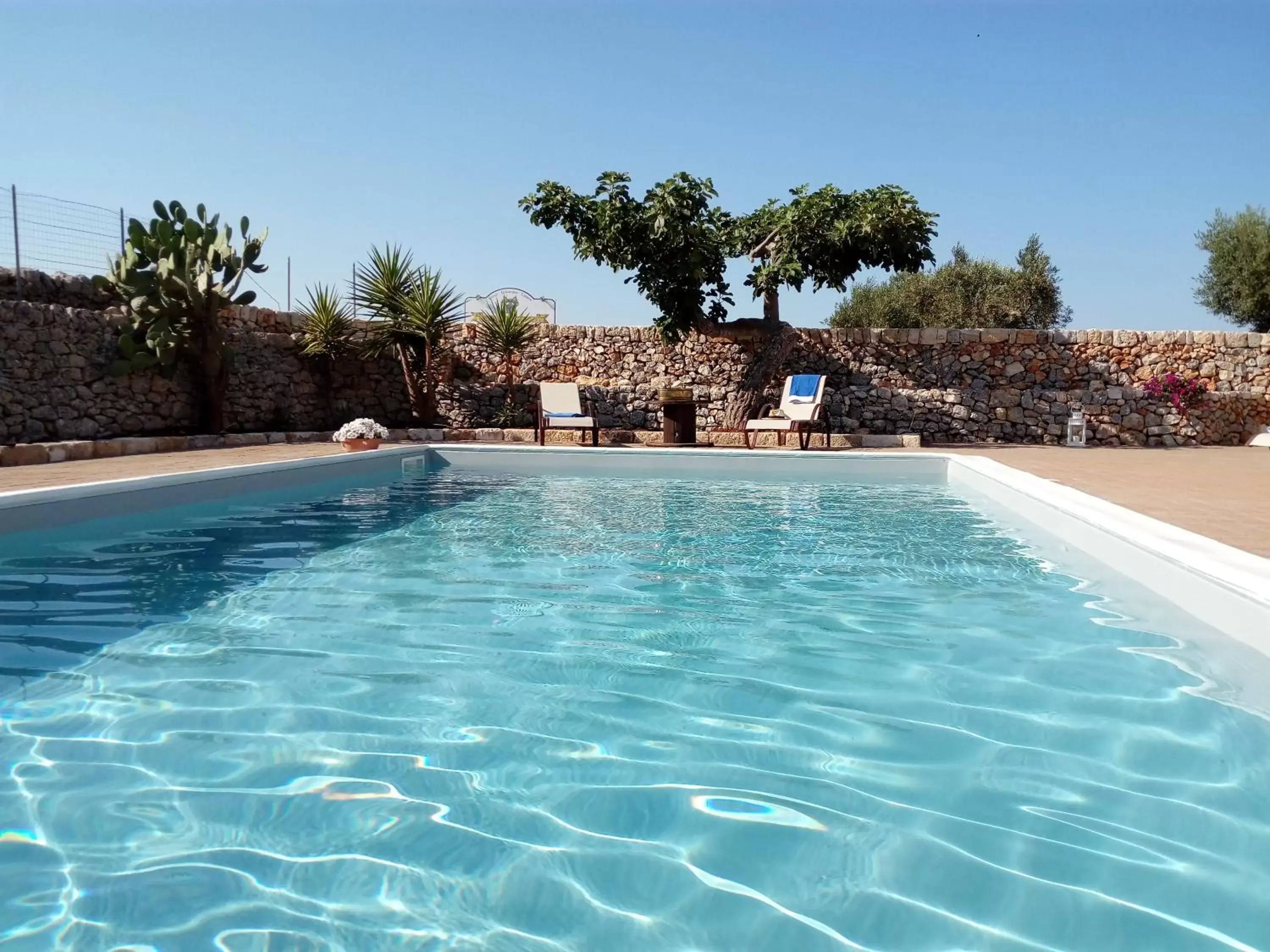 Pool view, Swimming Pool in Agriturismo Masseria Alberotanza
