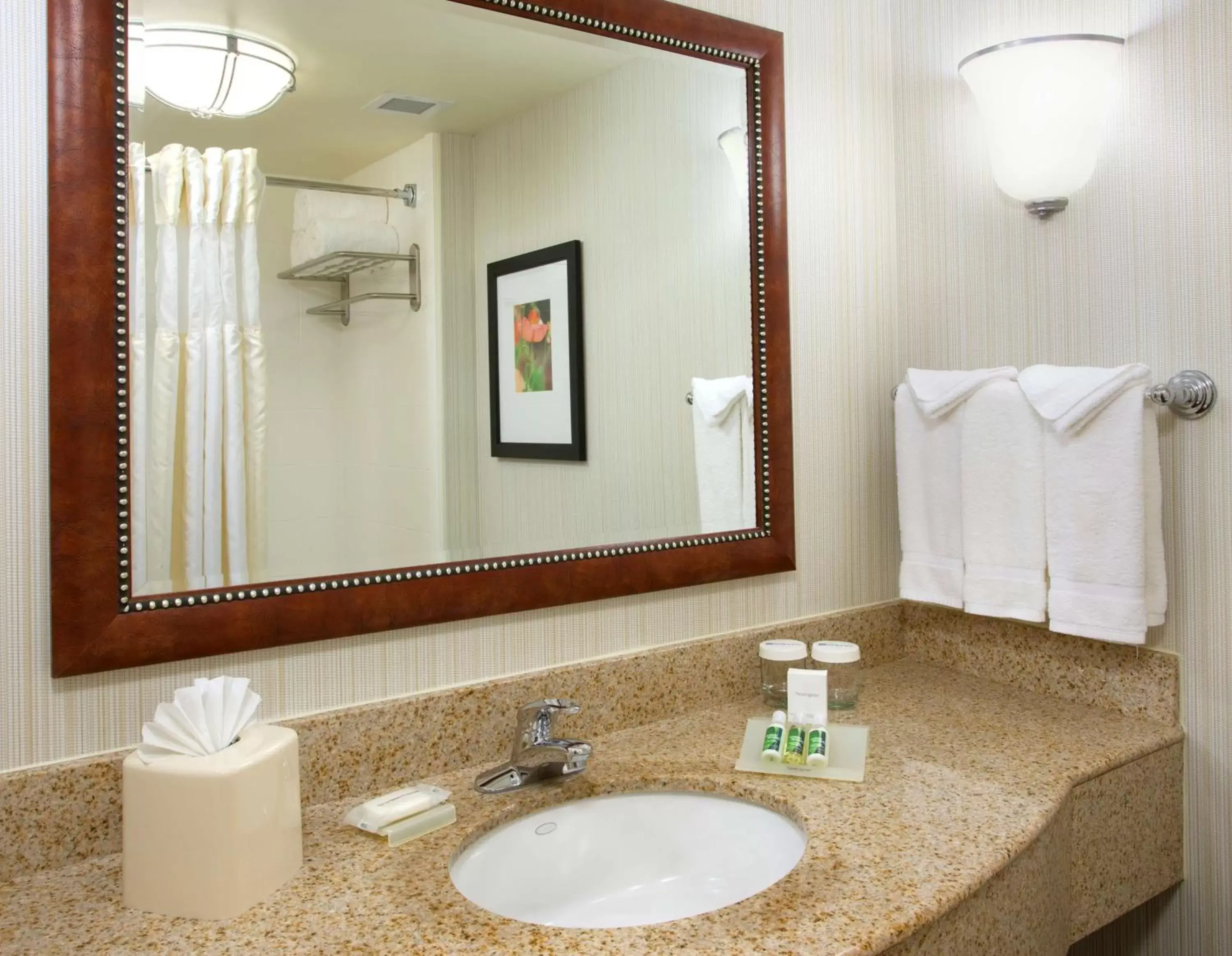 Bathroom in Hilton Garden Inn Gainesville