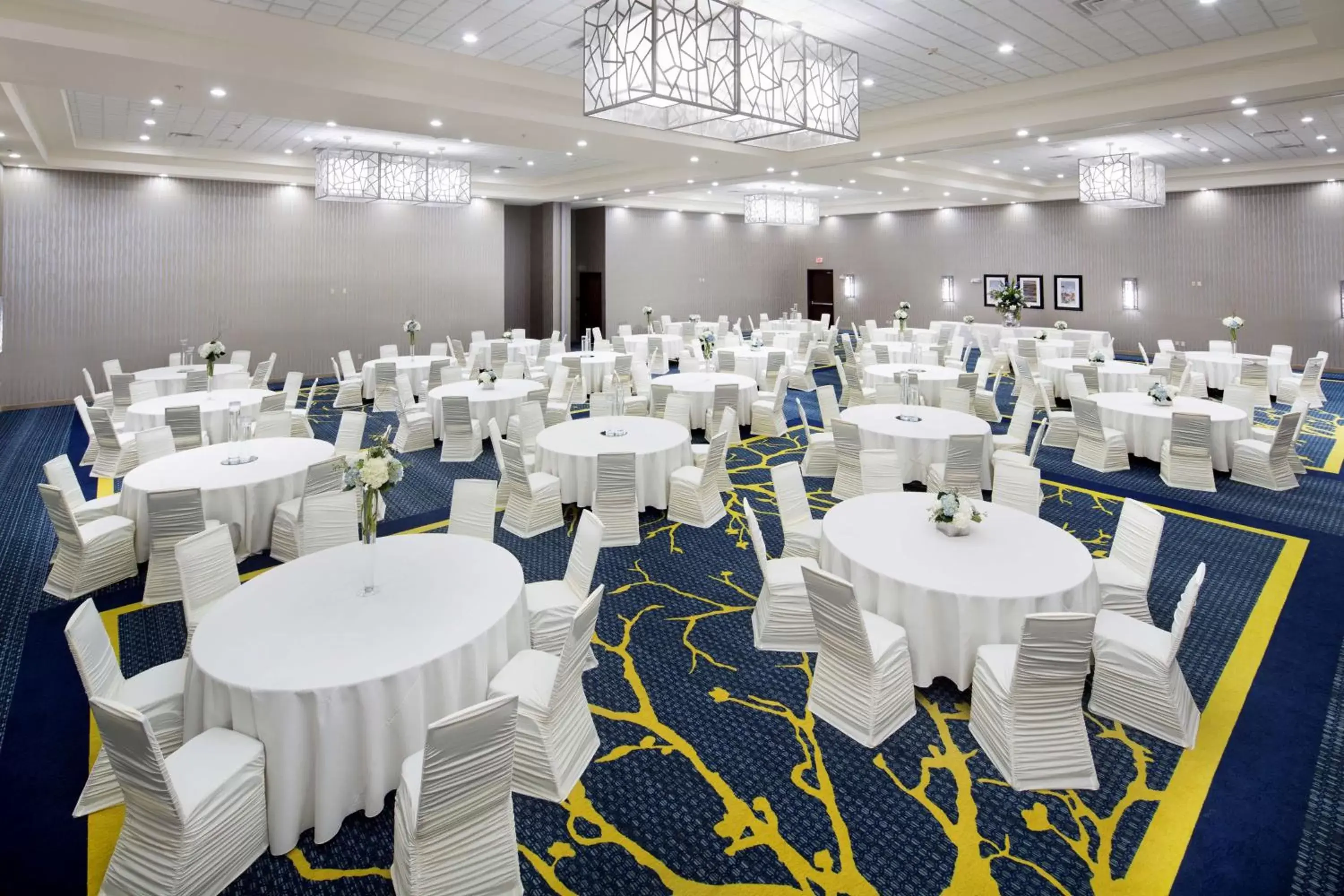 Meeting/conference room, Banquet Facilities in Longview Hilton Garden Inn