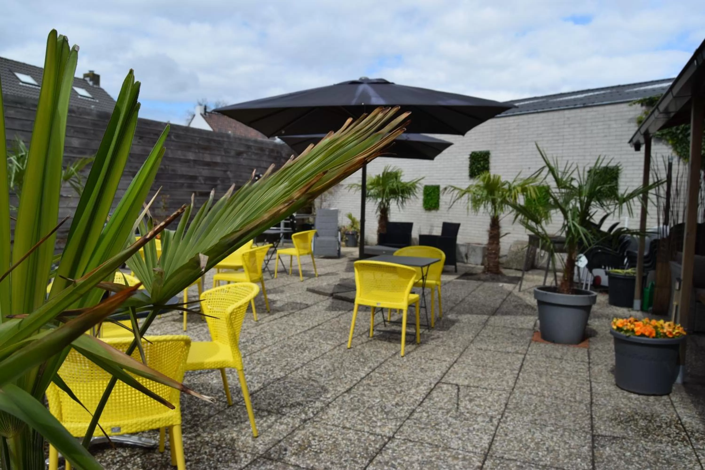 Garden in Hotel Cafe 't Zonneke