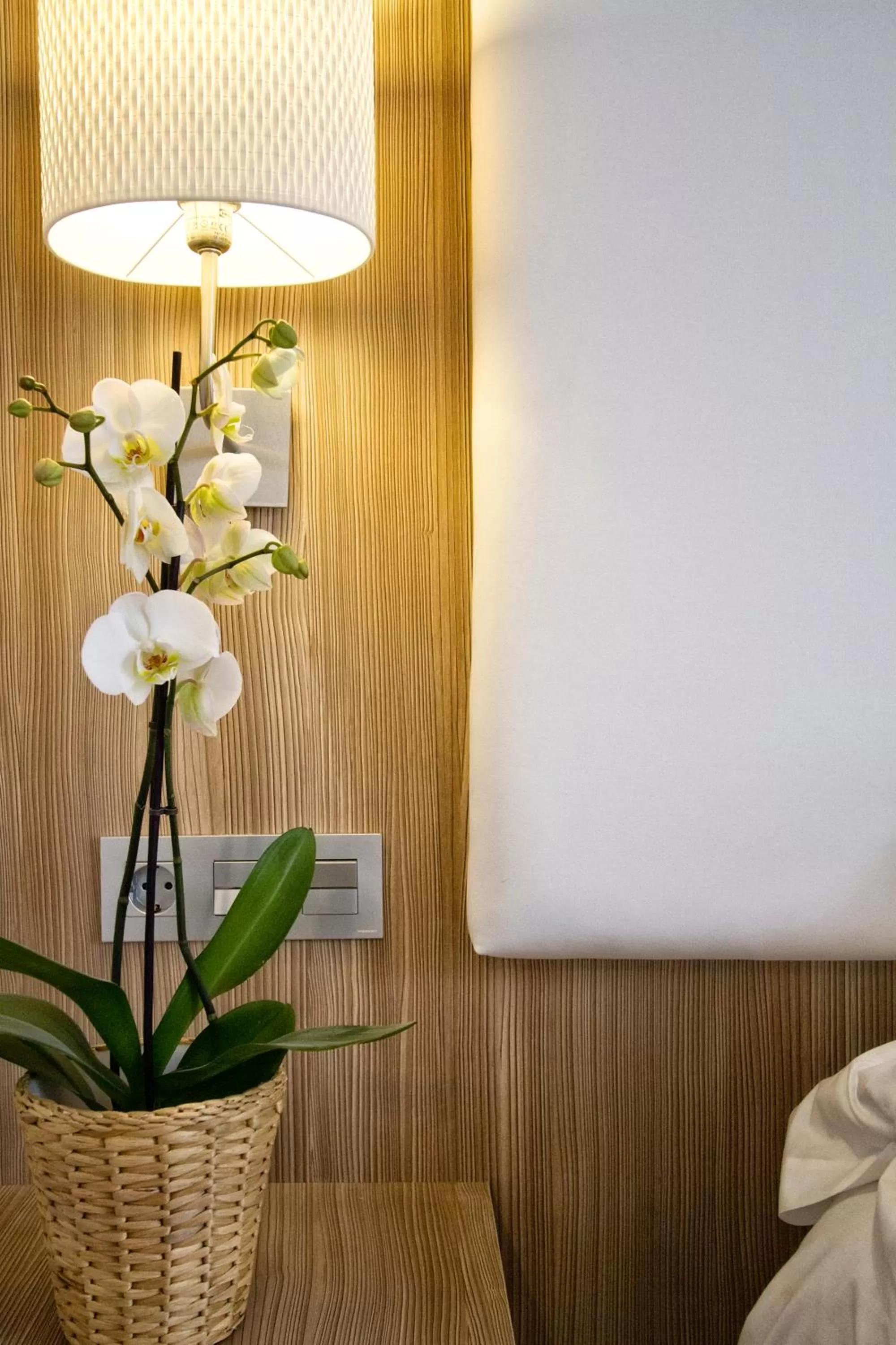 Decorative detail, Bed in Hotel Los Lagos Nature