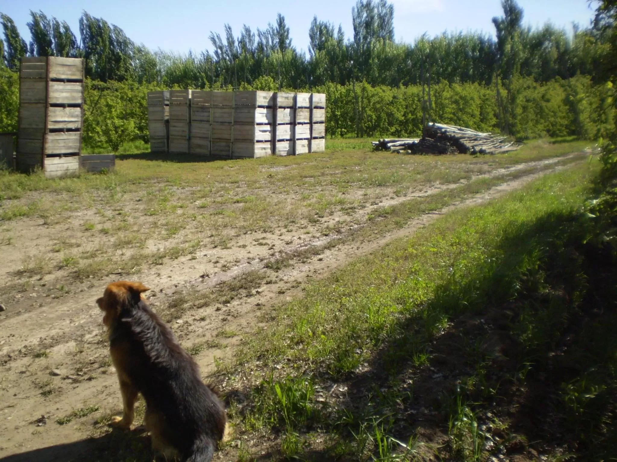 Other in Complejo Solar Apart