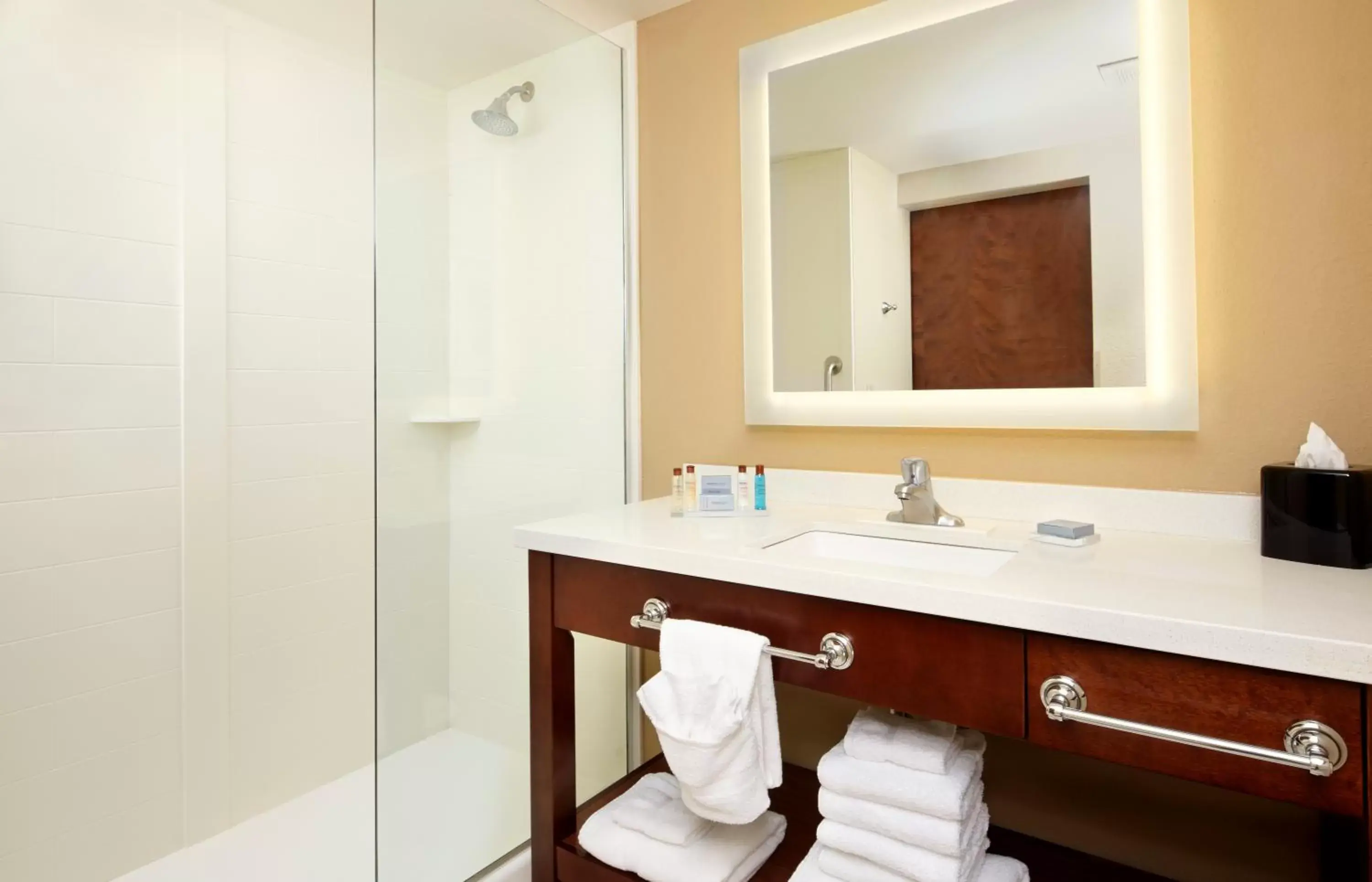 Bathroom in Hawthorn Suites by Wyndham Wheeling at The Highlands