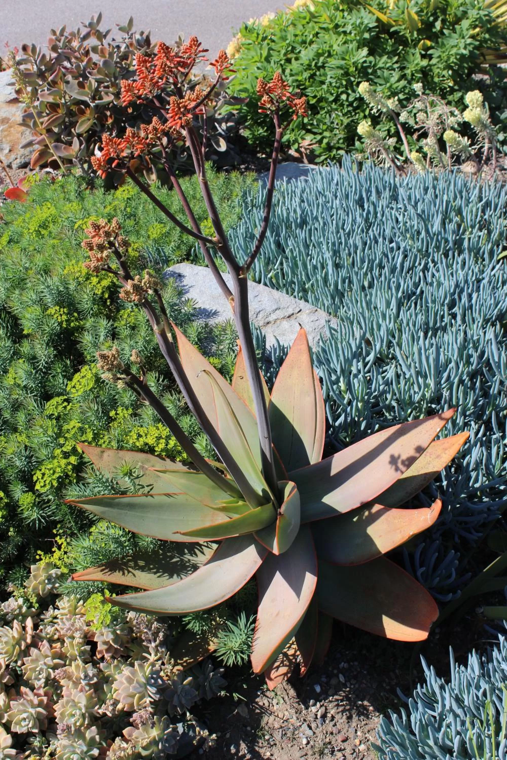 Decorative detail in Cambria Shores Inn