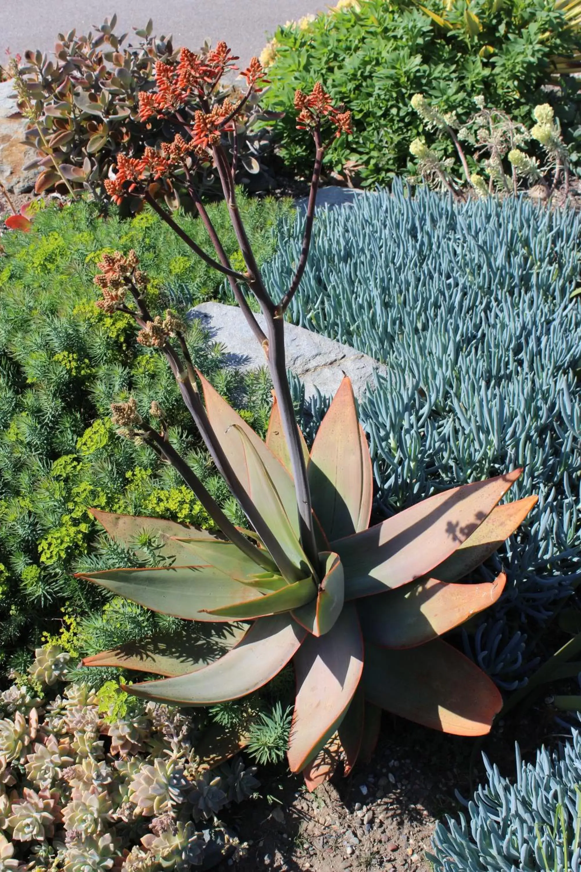 Decorative detail in Cambria Shores Inn