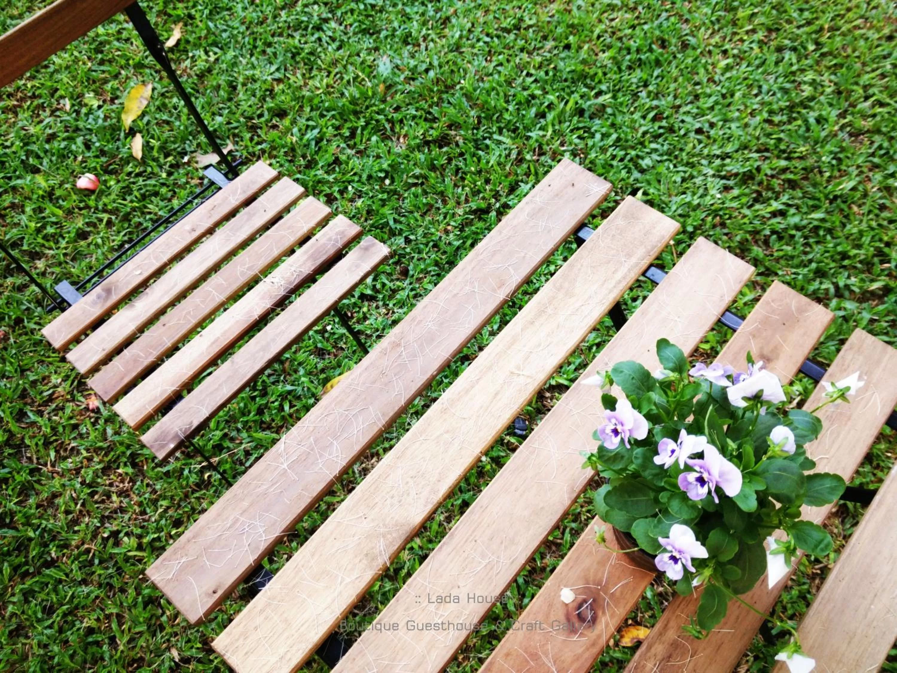 Natural landscape in Lada House