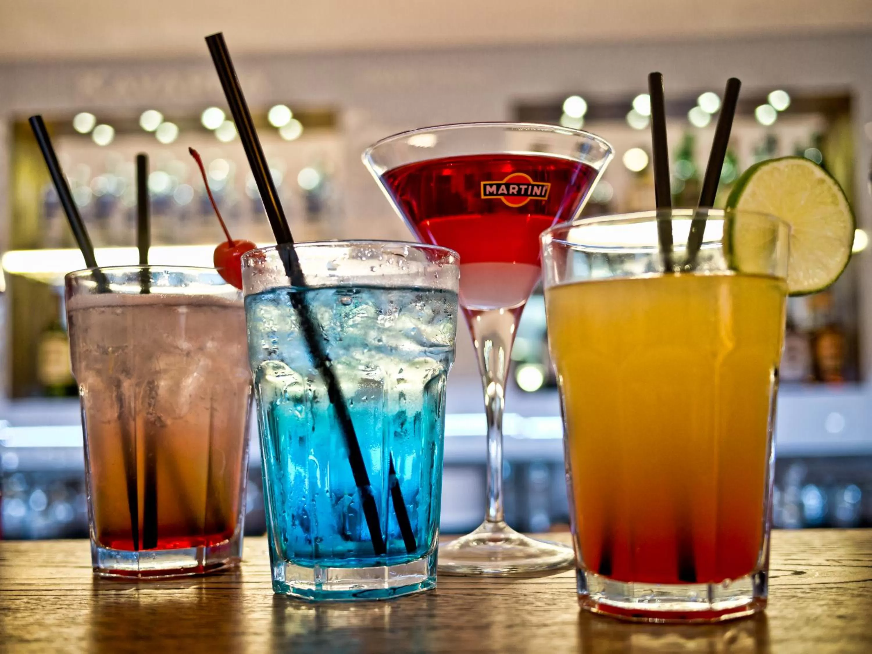 Drinks in B&B Dvor Tacen