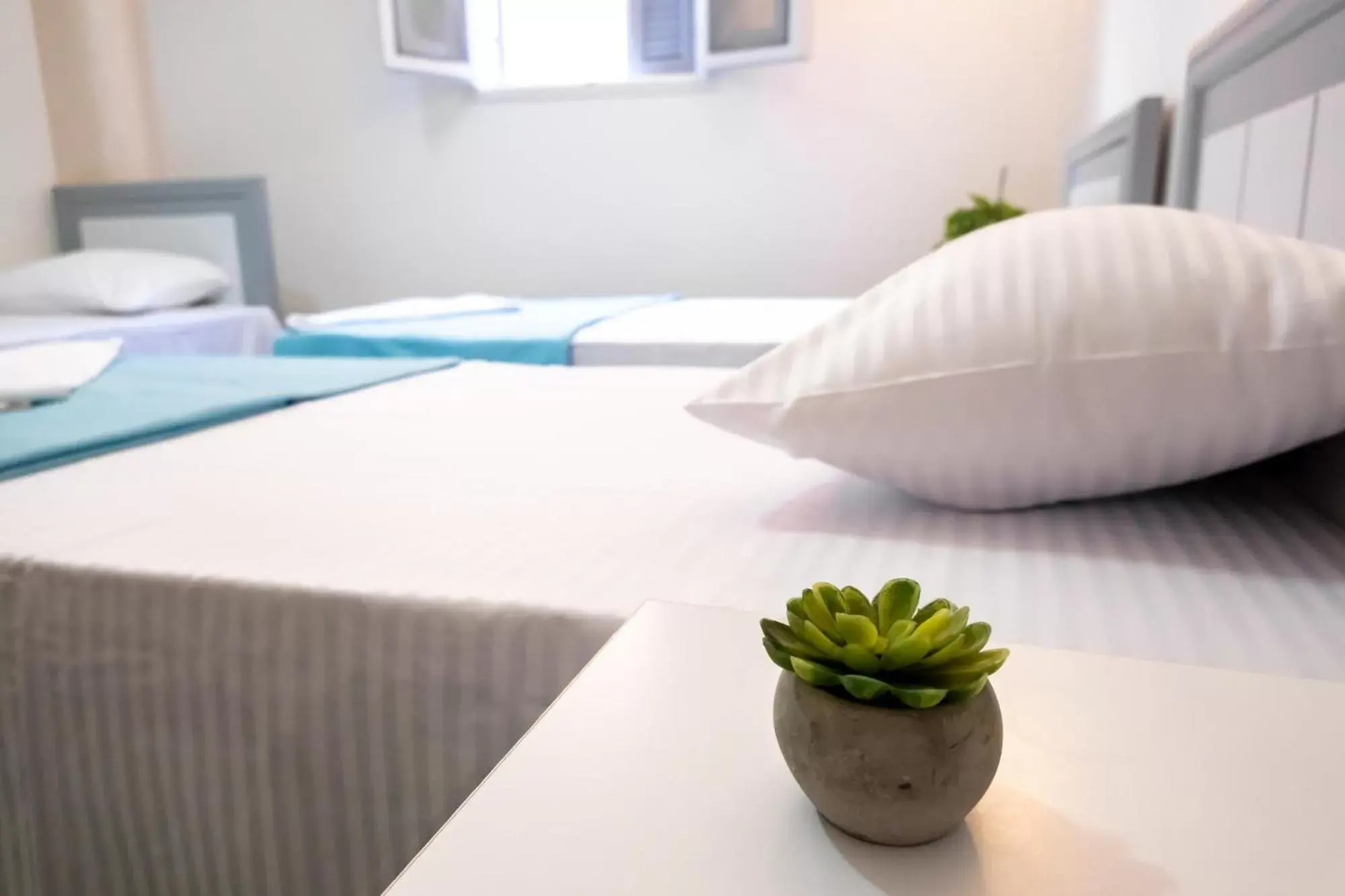 Standard Triple Studio in White Flat Studios Standard Triple Studio in White Flat Studios