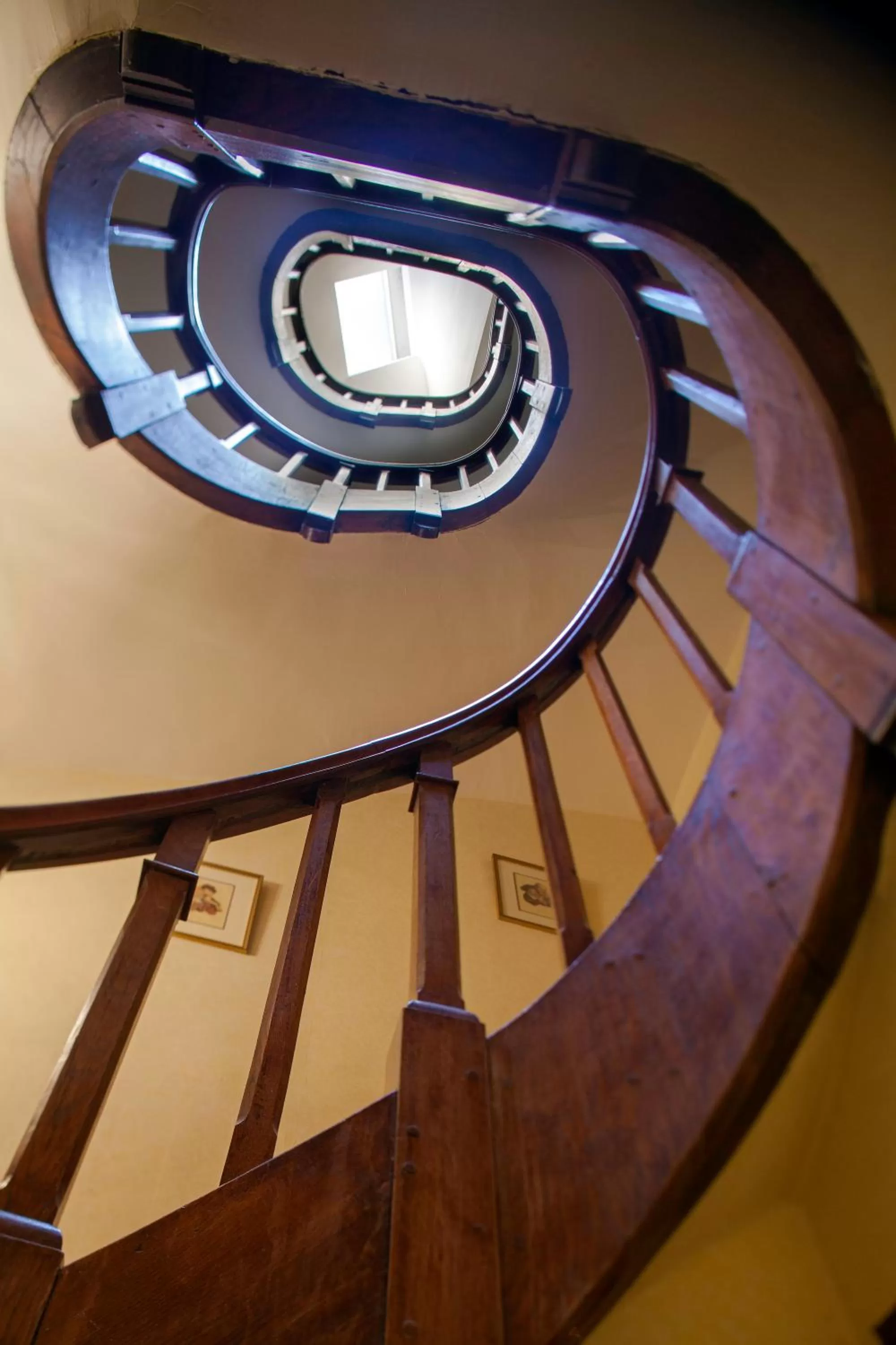 Other in Hôtel Le Plantagenet