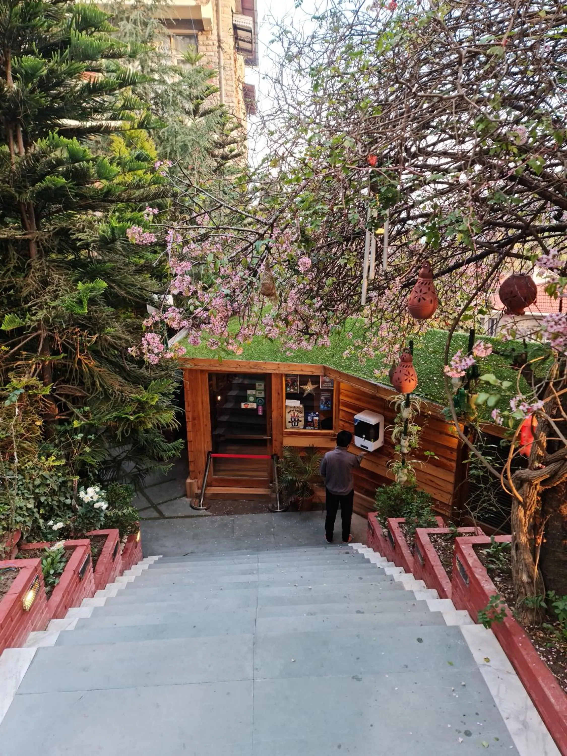 Spring in Kasauli Castle Resort