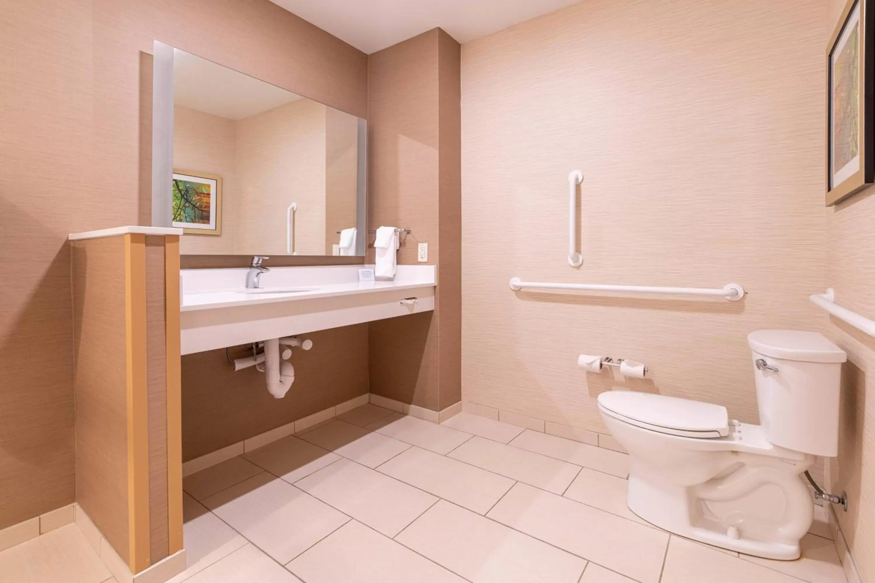 Bathroom in Fairfield Inn & Suites By Marriott Somerset