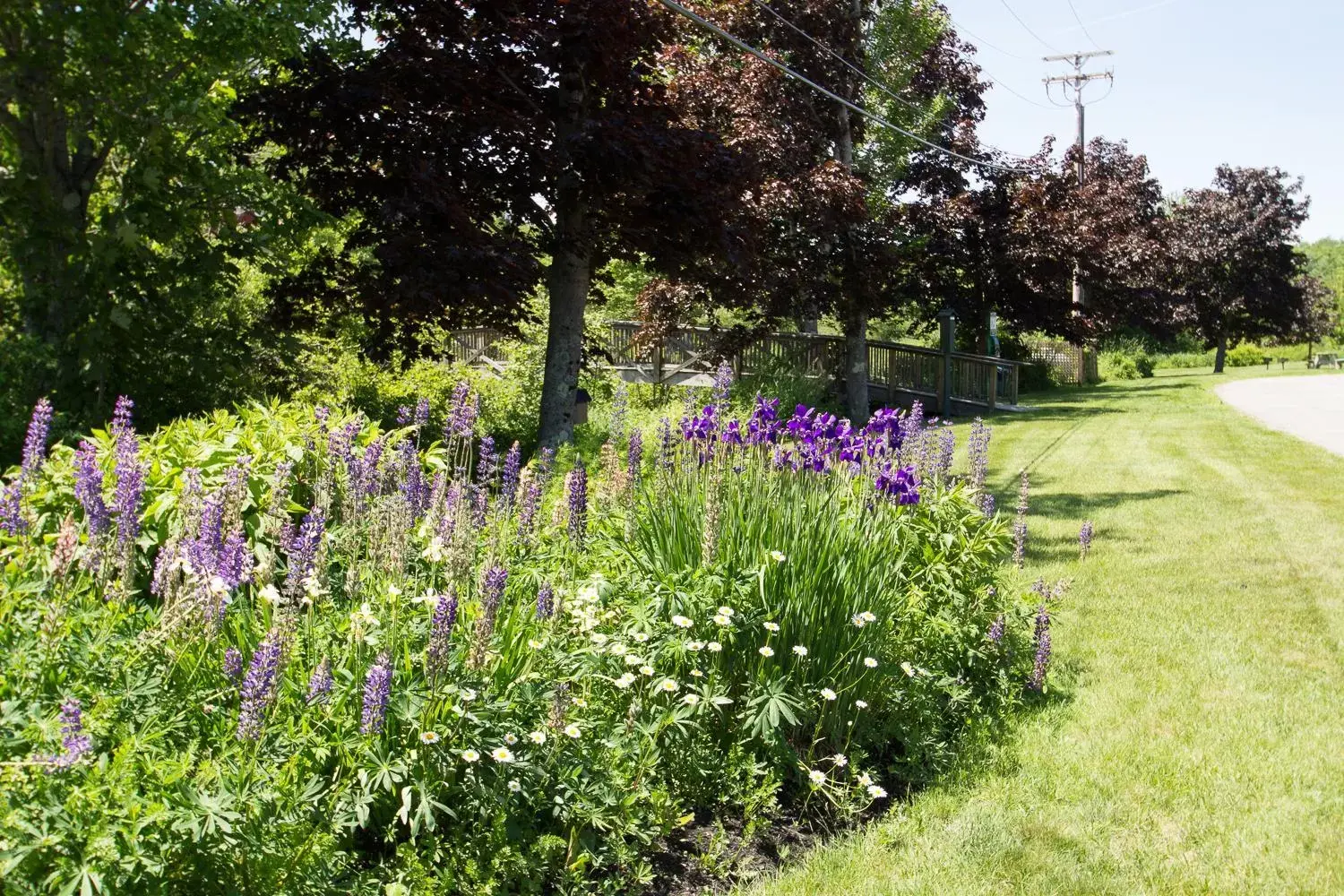 Day, Garden in Flagship Inn