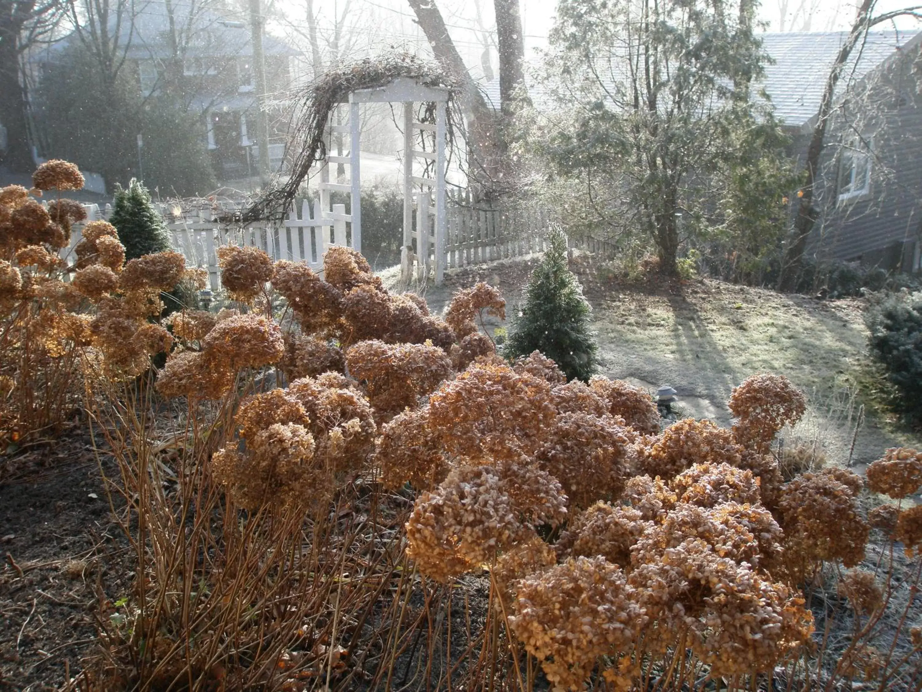 Garden in Ô Bois Dormant B&B