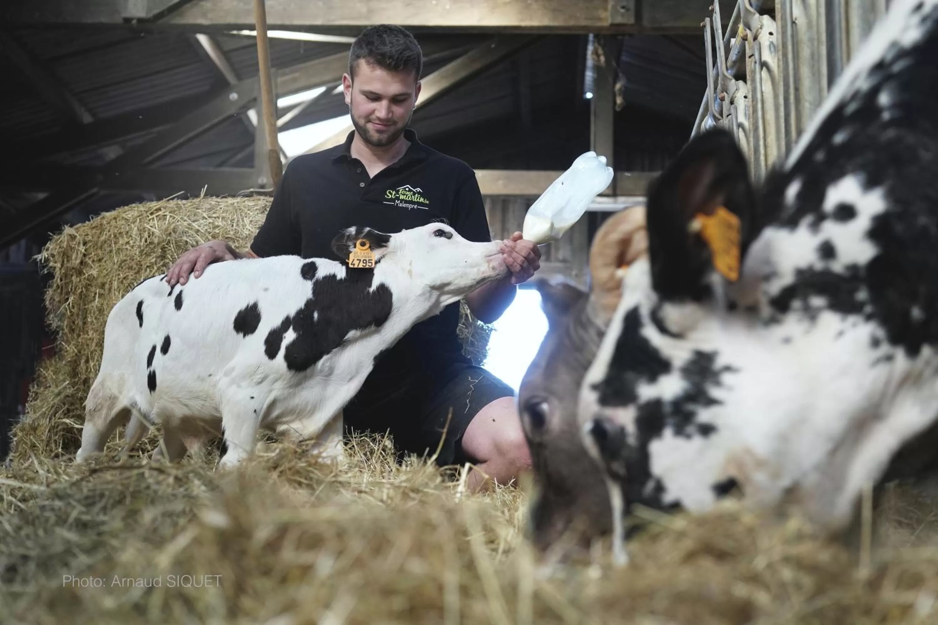 Activities in ferme st martin