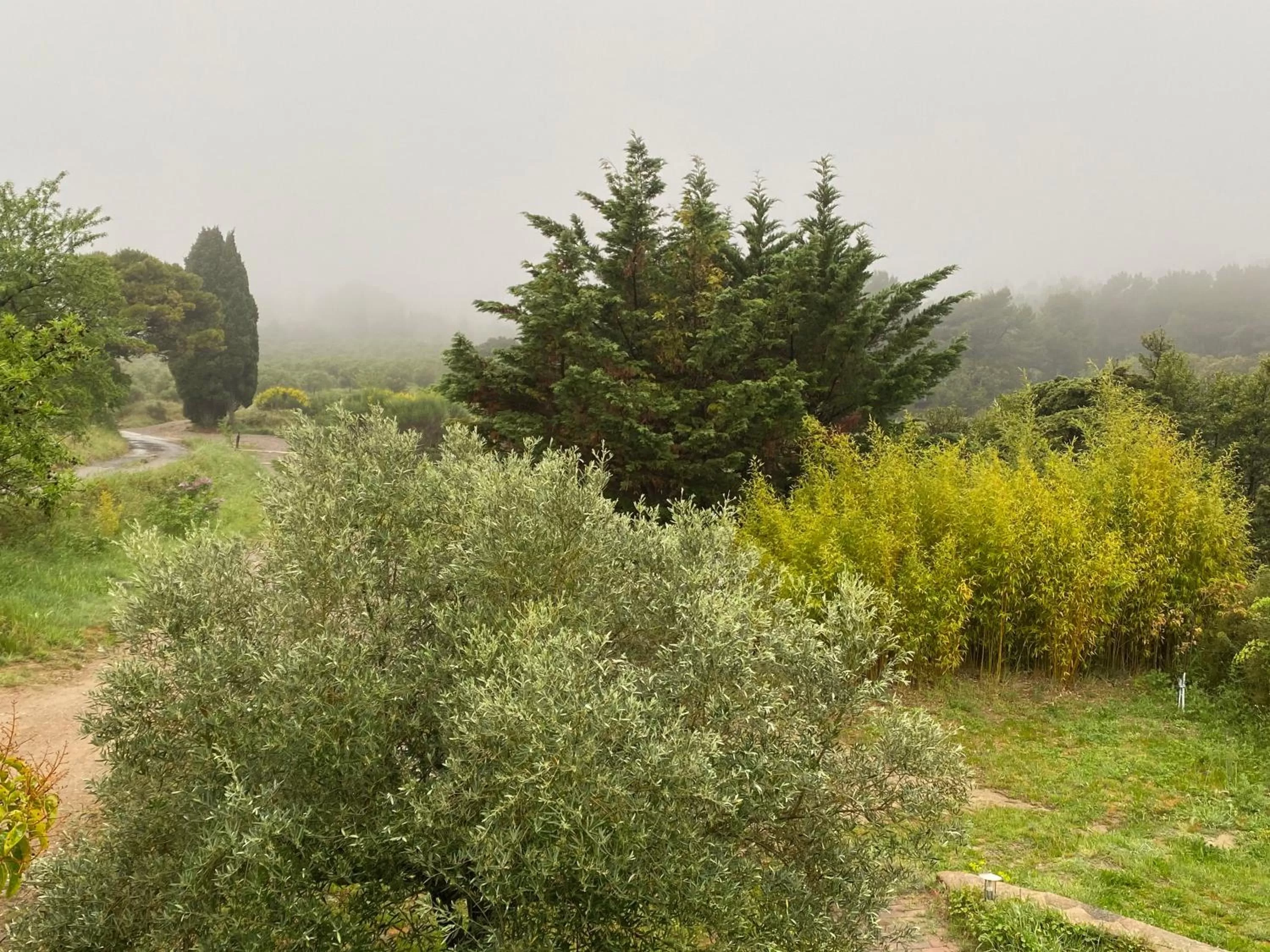 Property building in Mas des Tournevents