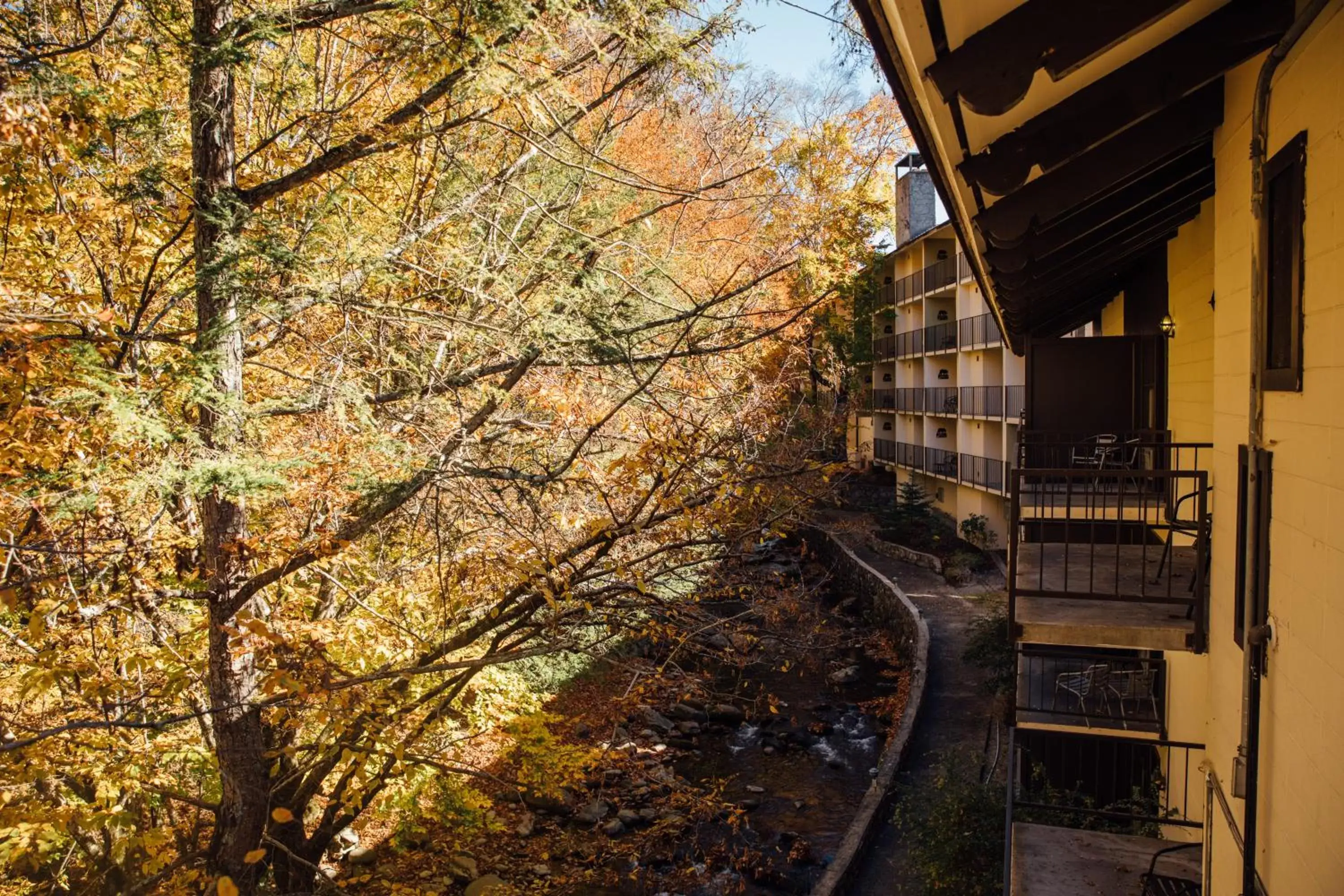 Balcony/Terrace in Brookside Lodge