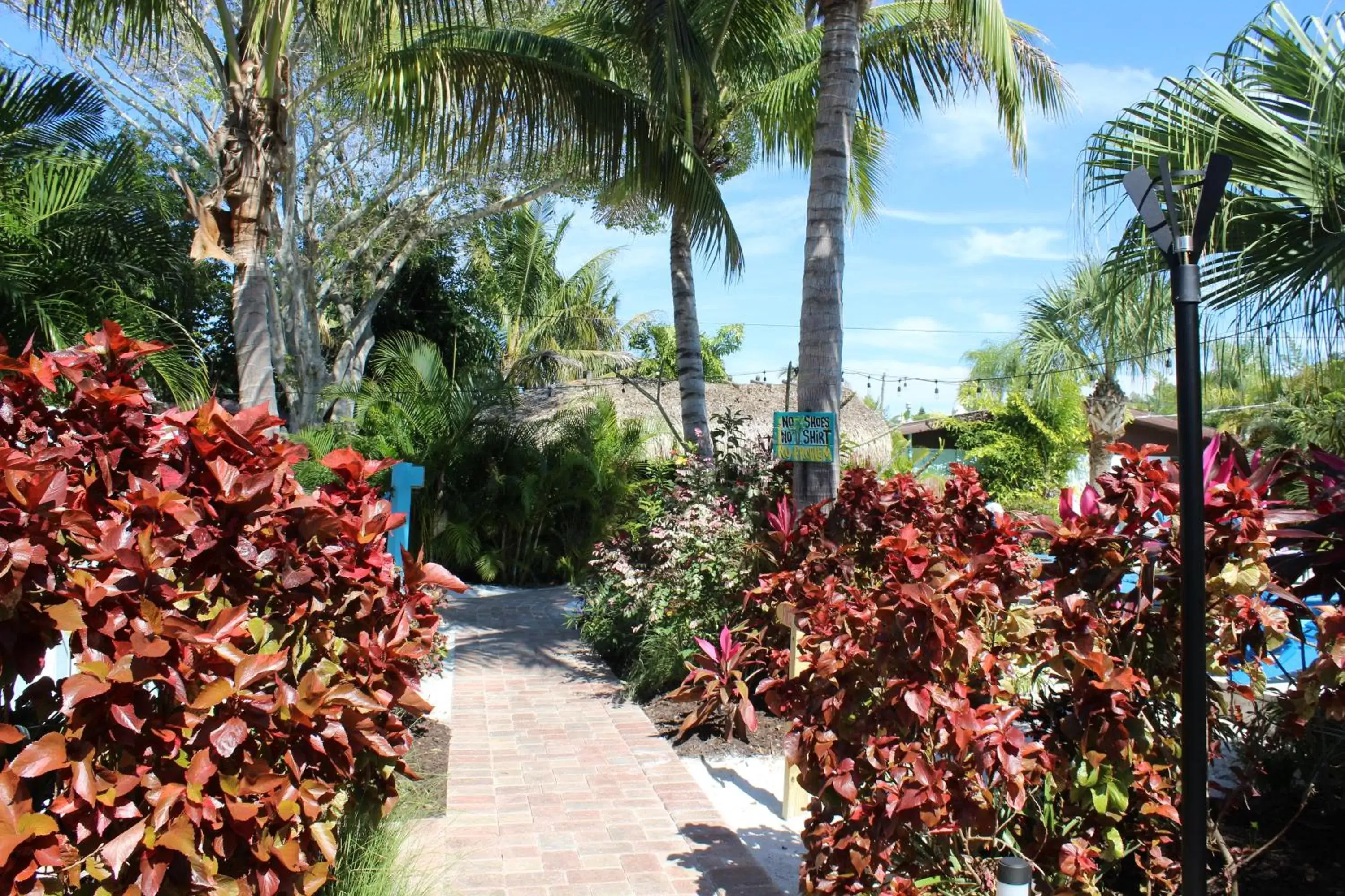 Garden in Siesta Key Palms Resort