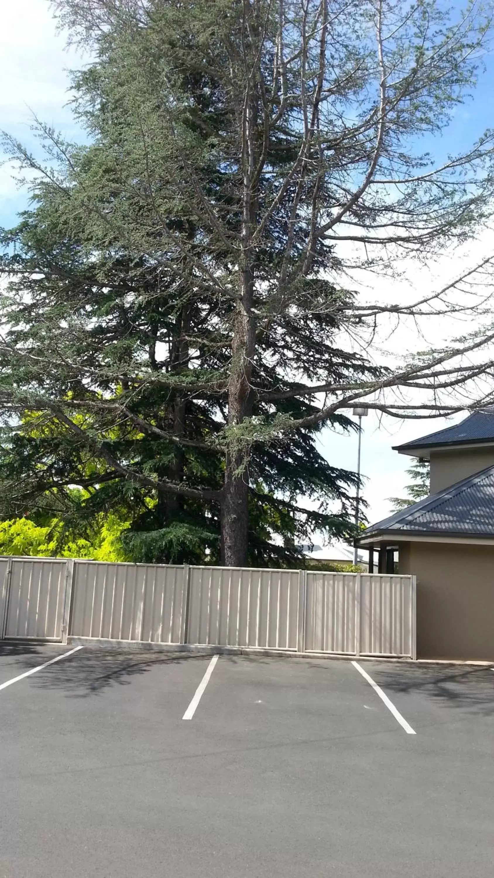 Decorative detail in Armidale Pines Motel