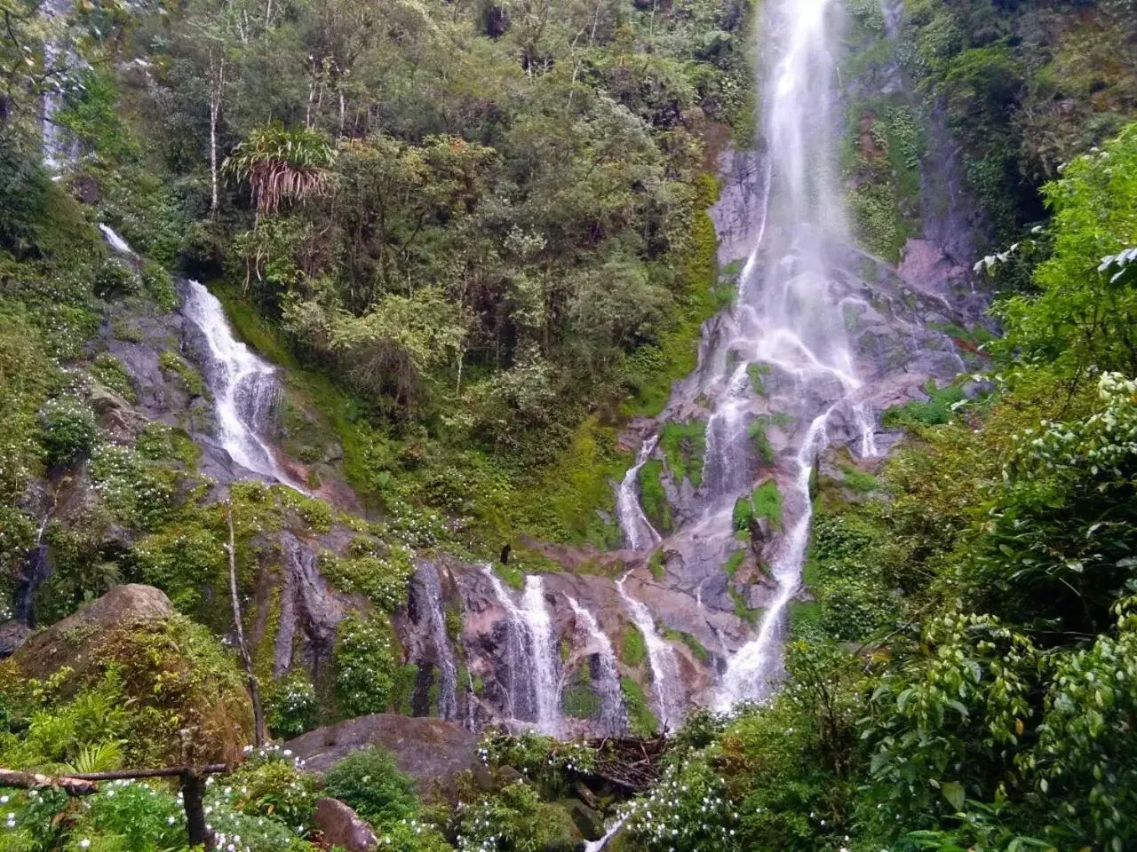 Natural Landscape in Toraja Misiliana Hotel