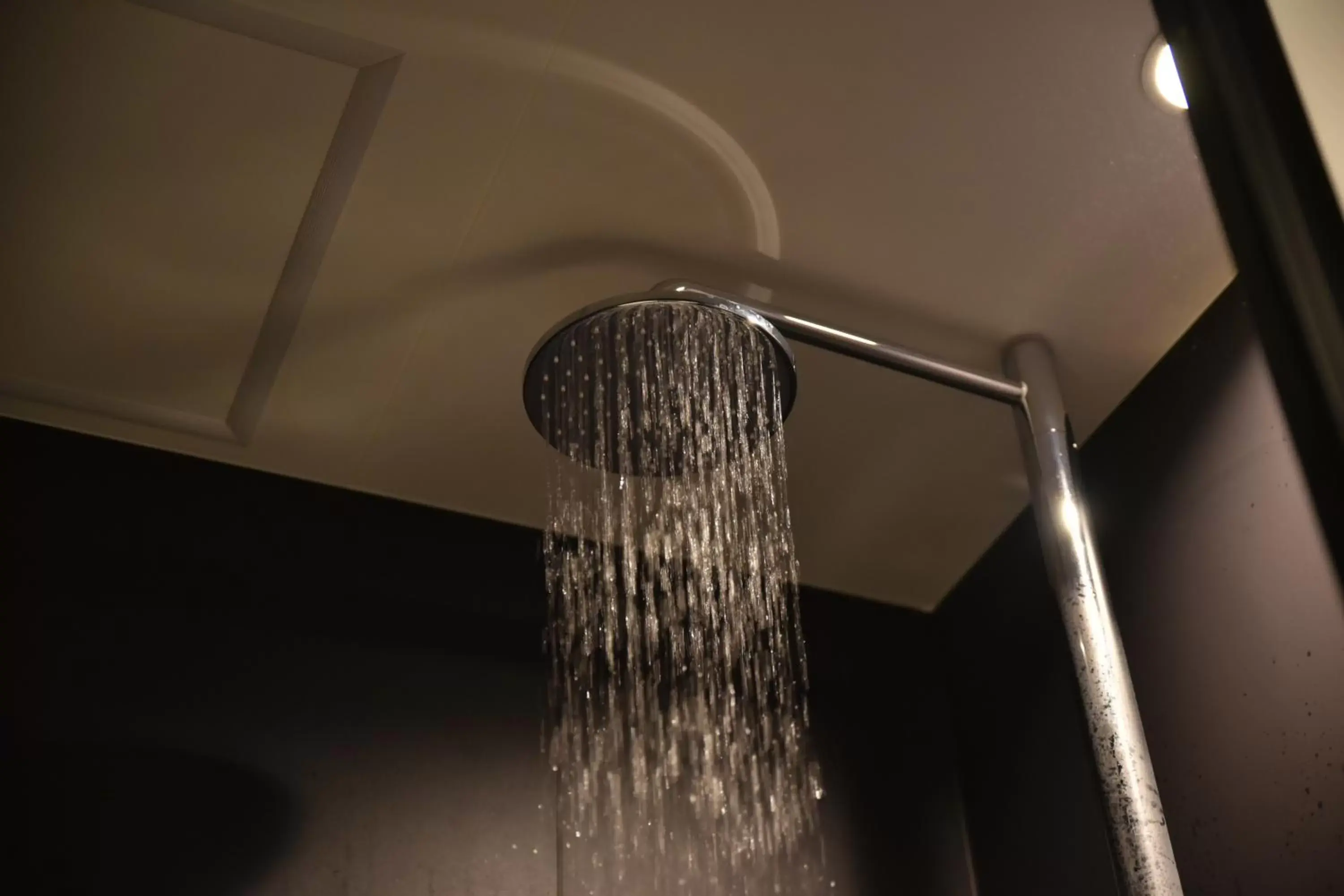 Shower in Hotel Cordia Osaka Hommachi