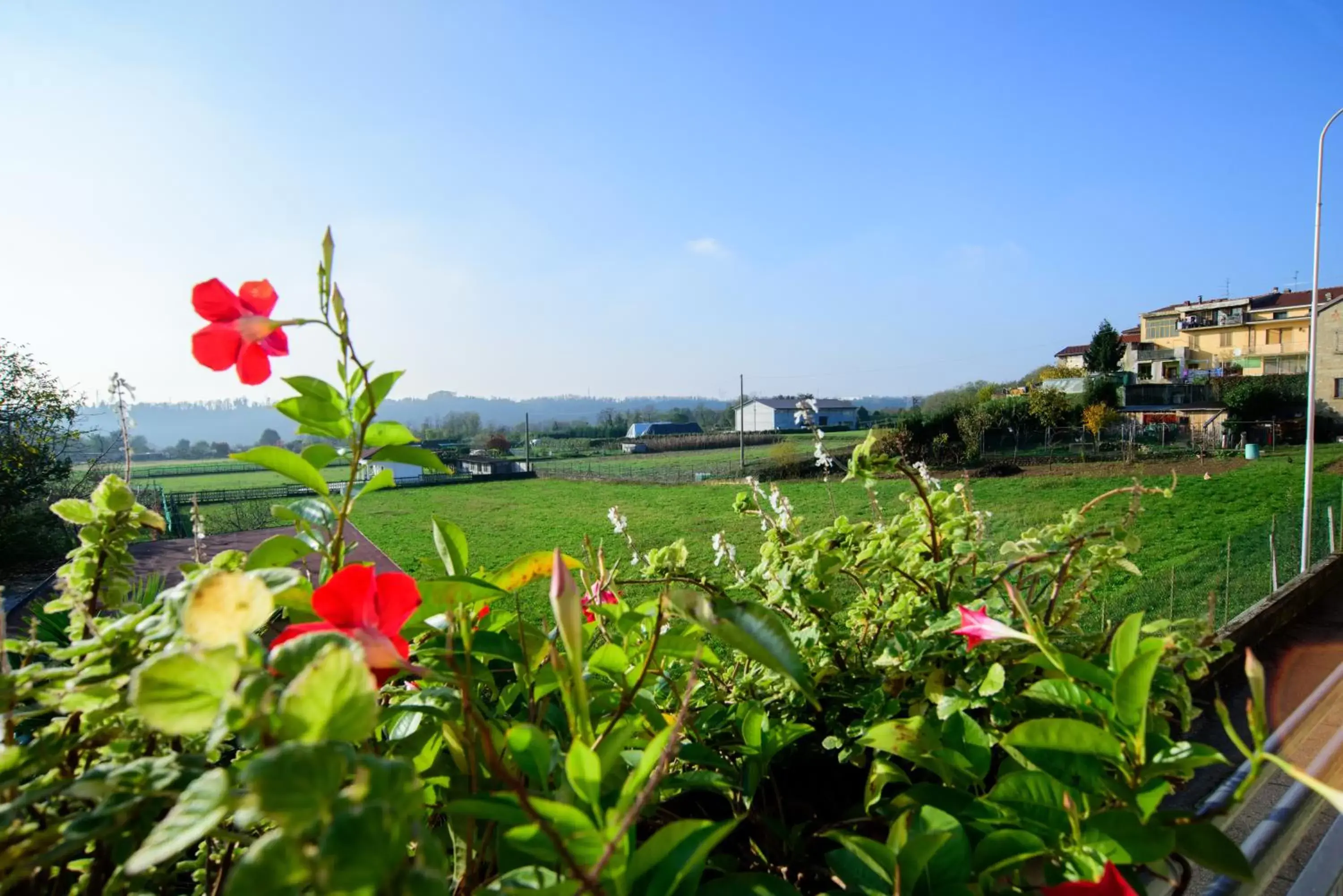 View (from property/room), Garden in Le vigne sull’Adda