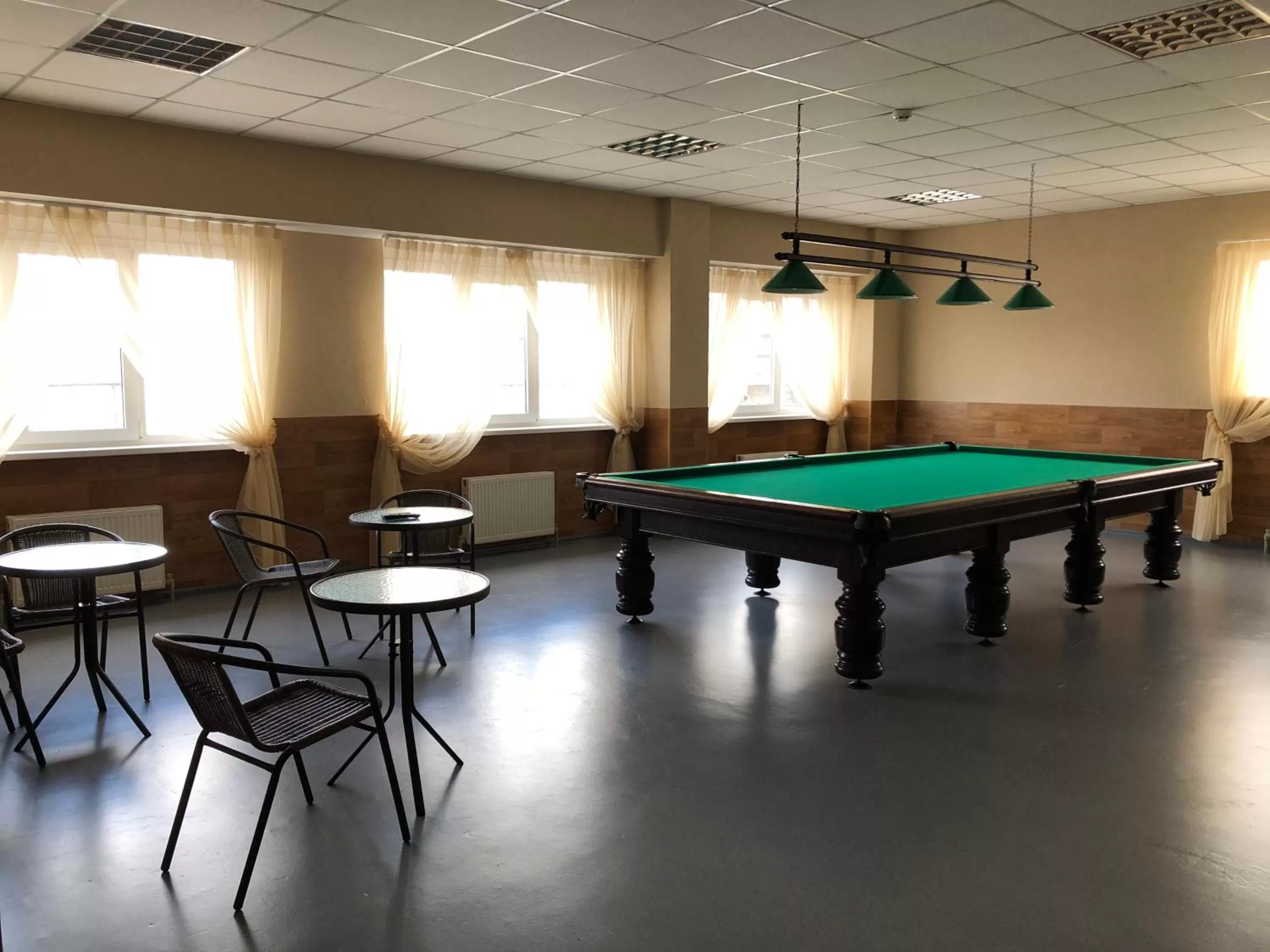 Billiards in Mini Hotel on Brovarskaya