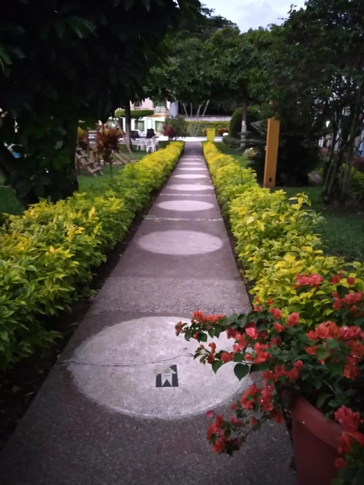 Garden in Hotel Las Victorias Palmira