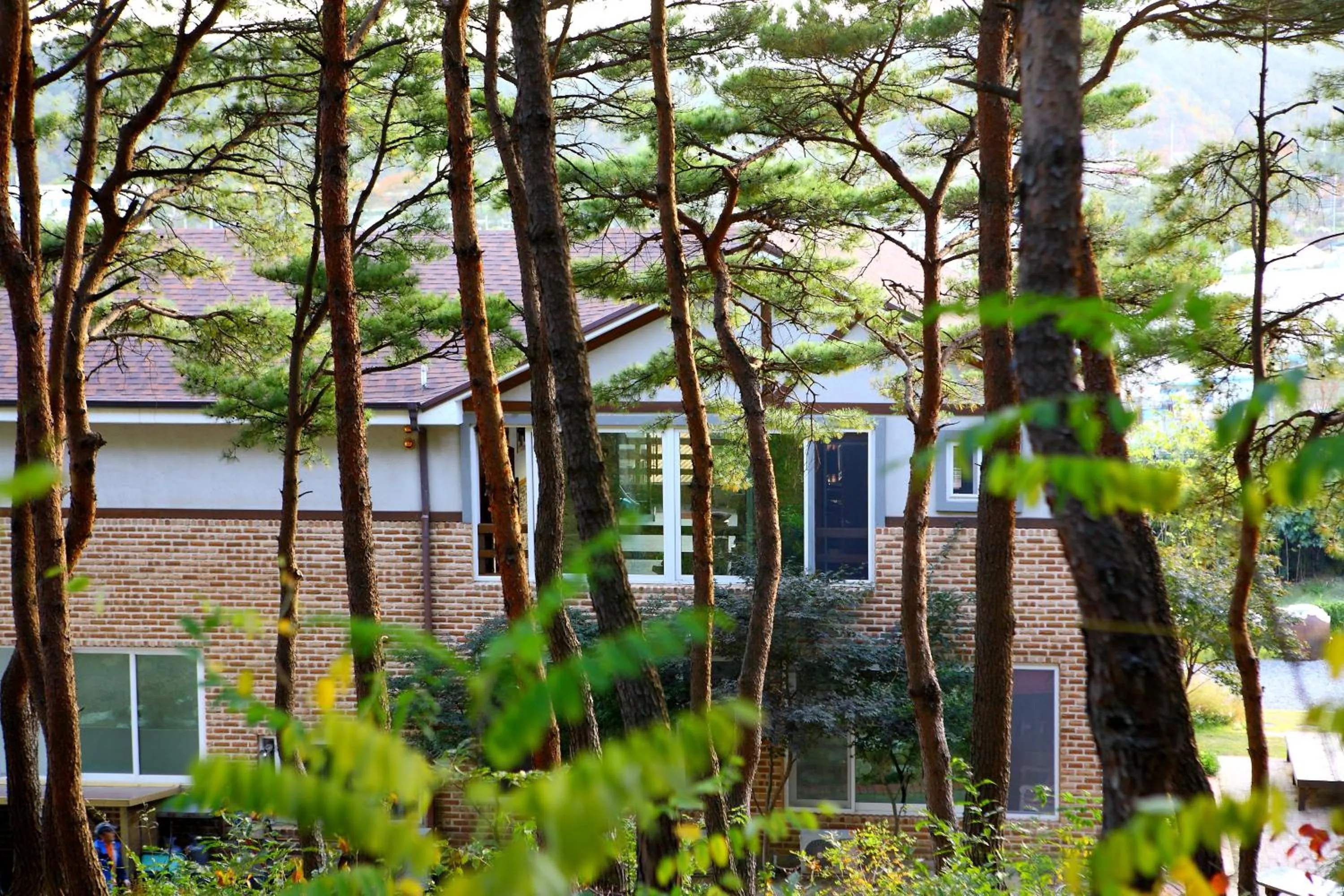 Day in Casa Seorak Bed and Breakfast