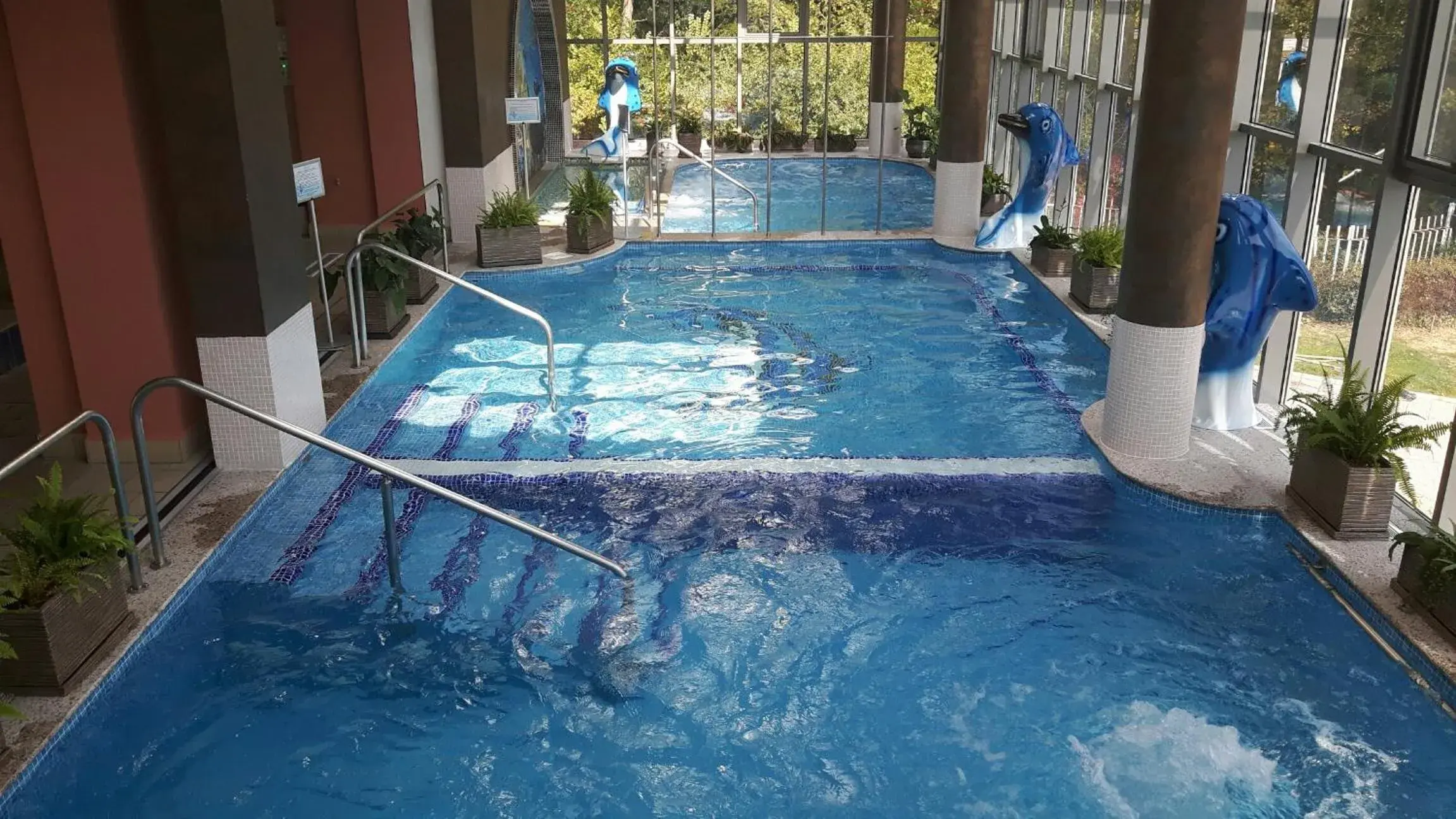 Swimming Pool in Hissar Spa Hotel