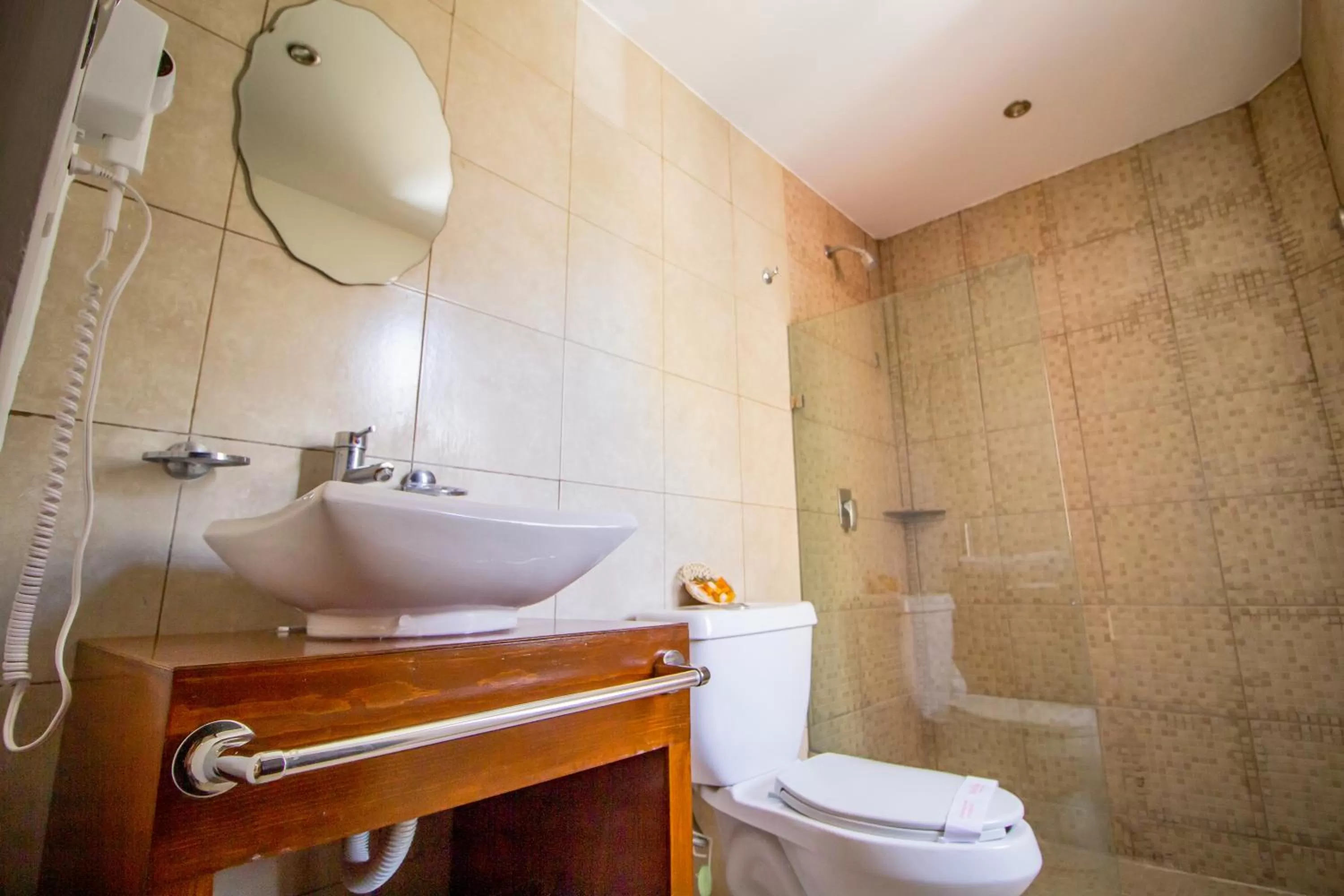 Toilet in Hotel Merida