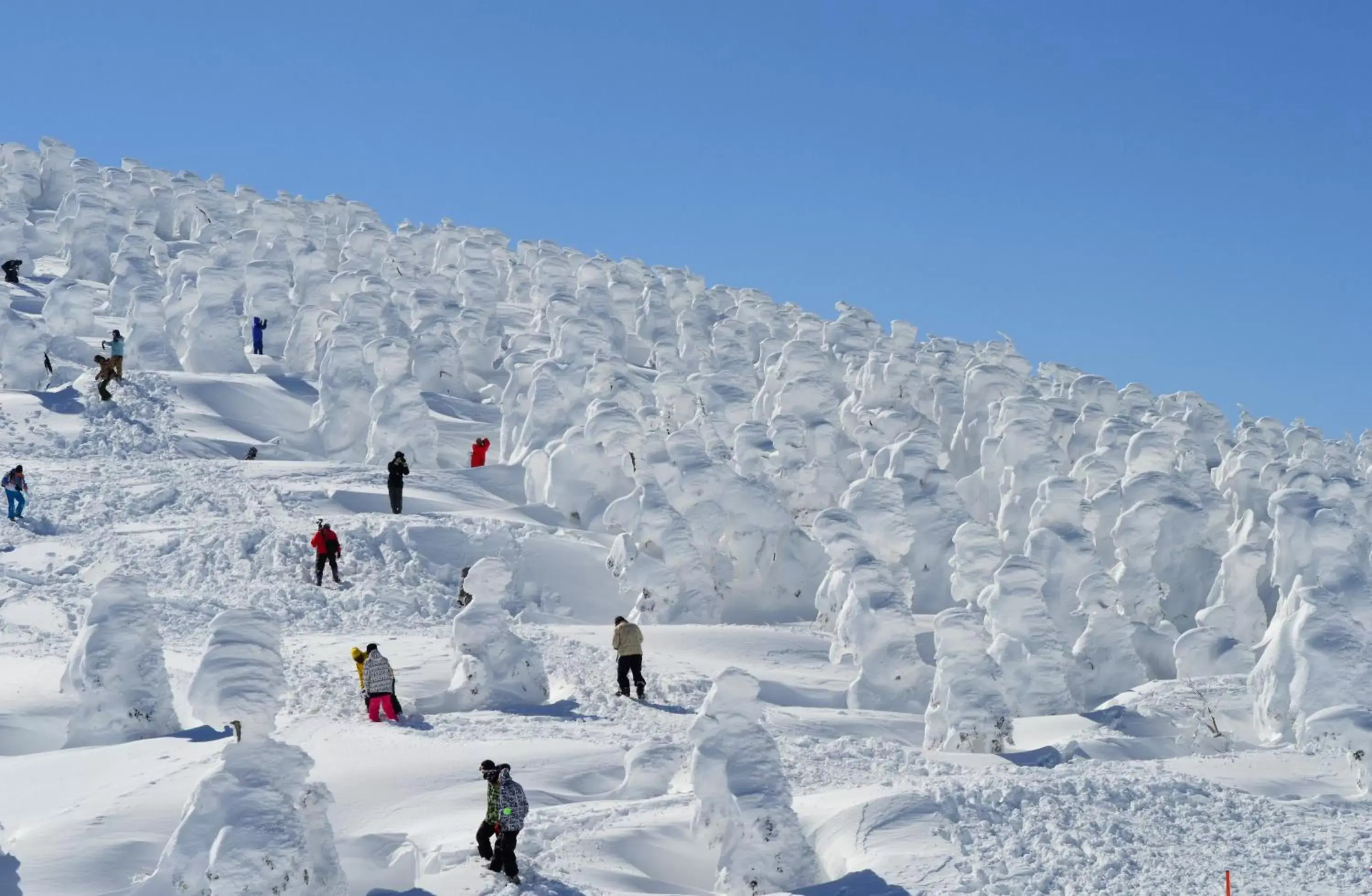 Nearby landmark, Winter in Hotel GrandBach Sendai