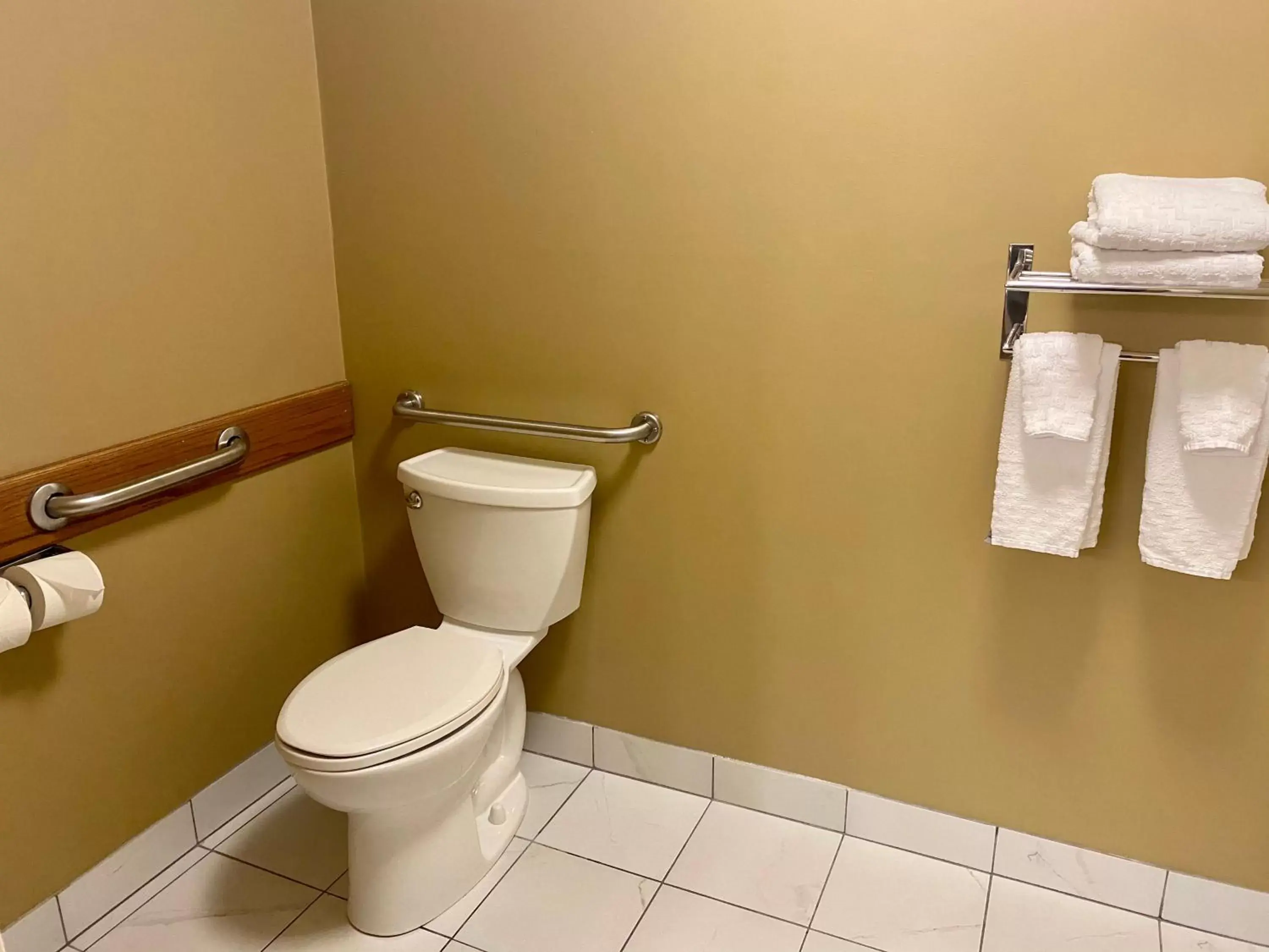 Other, Bathroom in Best Western Falcon Plaza