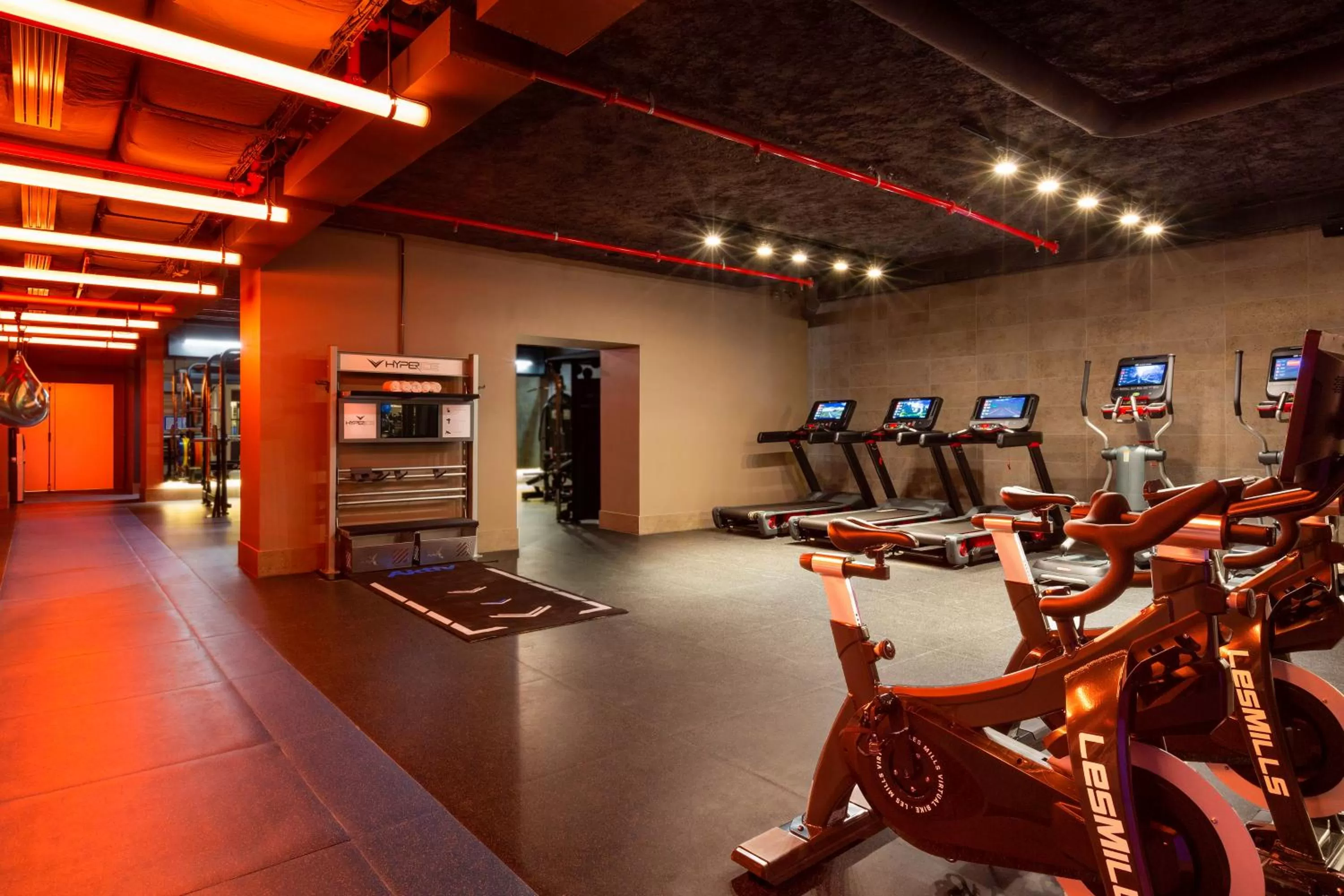 Fitness centre/facilities in Pullman Paris Montparnasse