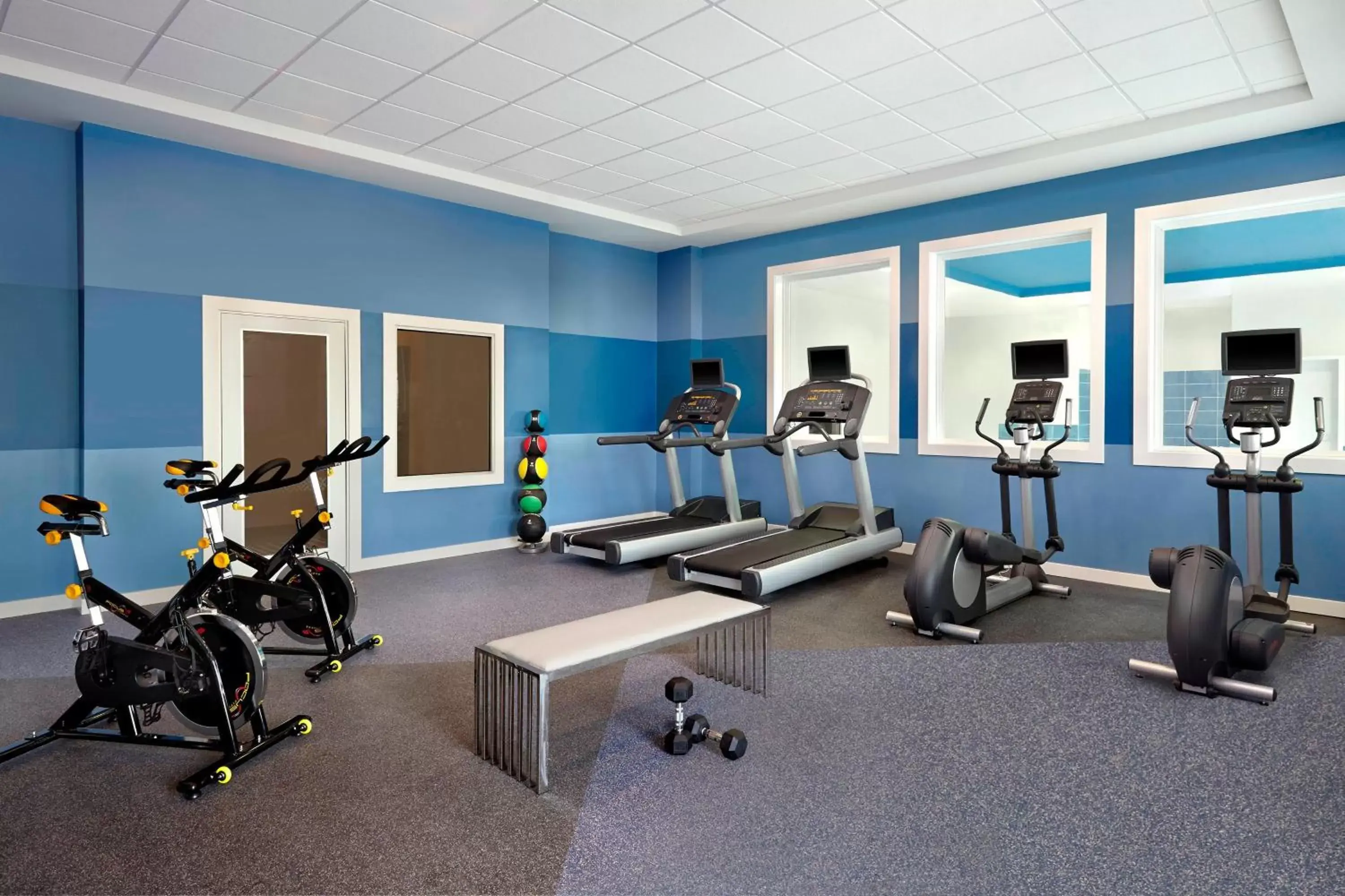 Fitness centre/facilities, Fitness Center/Facilities in Four Points by Sheraton Edmonton International Airport