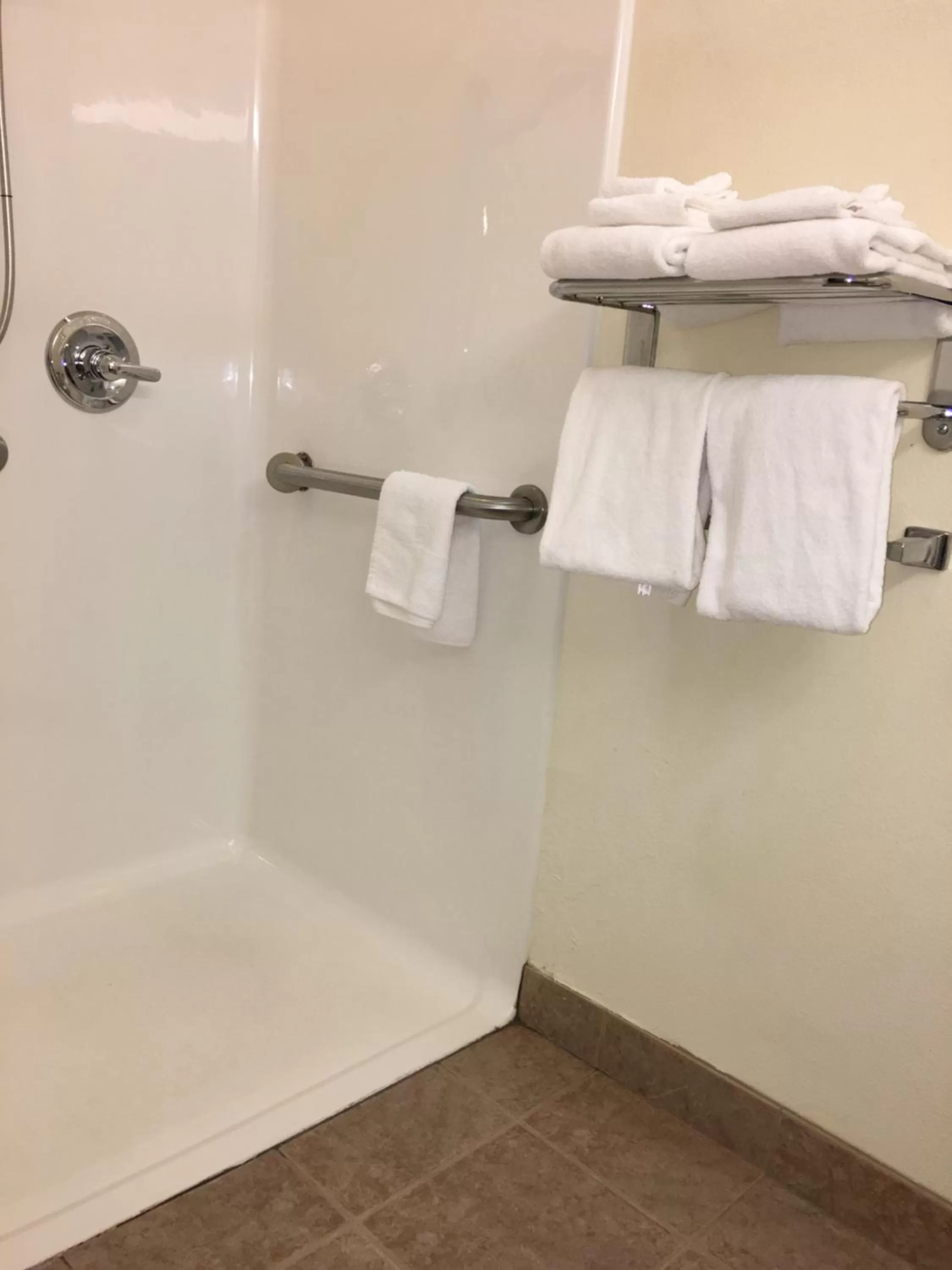 Shower in Microtel Inn & Suites by Wyndham Indianapolis Airport