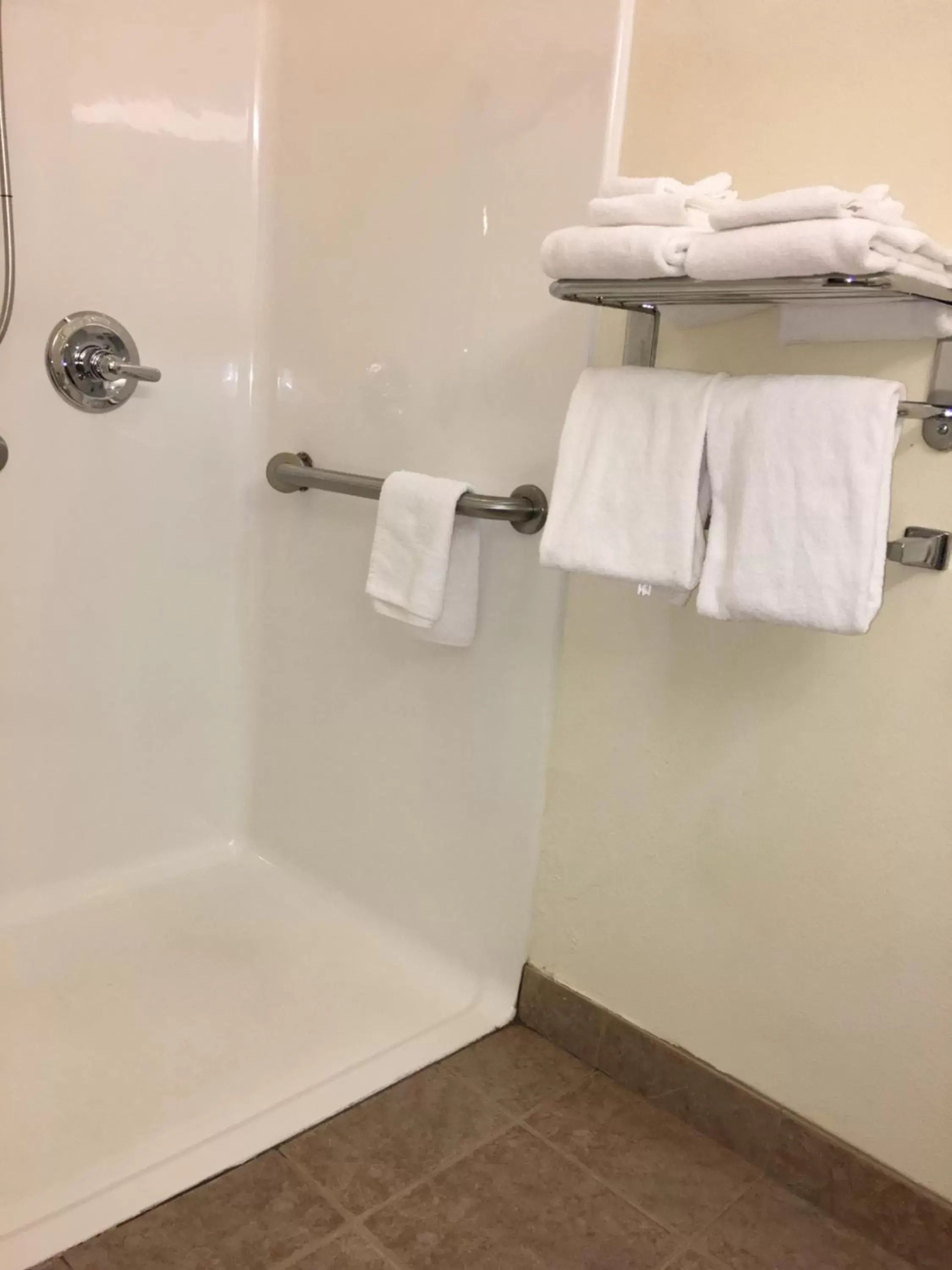 Shower, Bathroom in Microtel Inn & Suites by Wyndham Indianapolis Airport