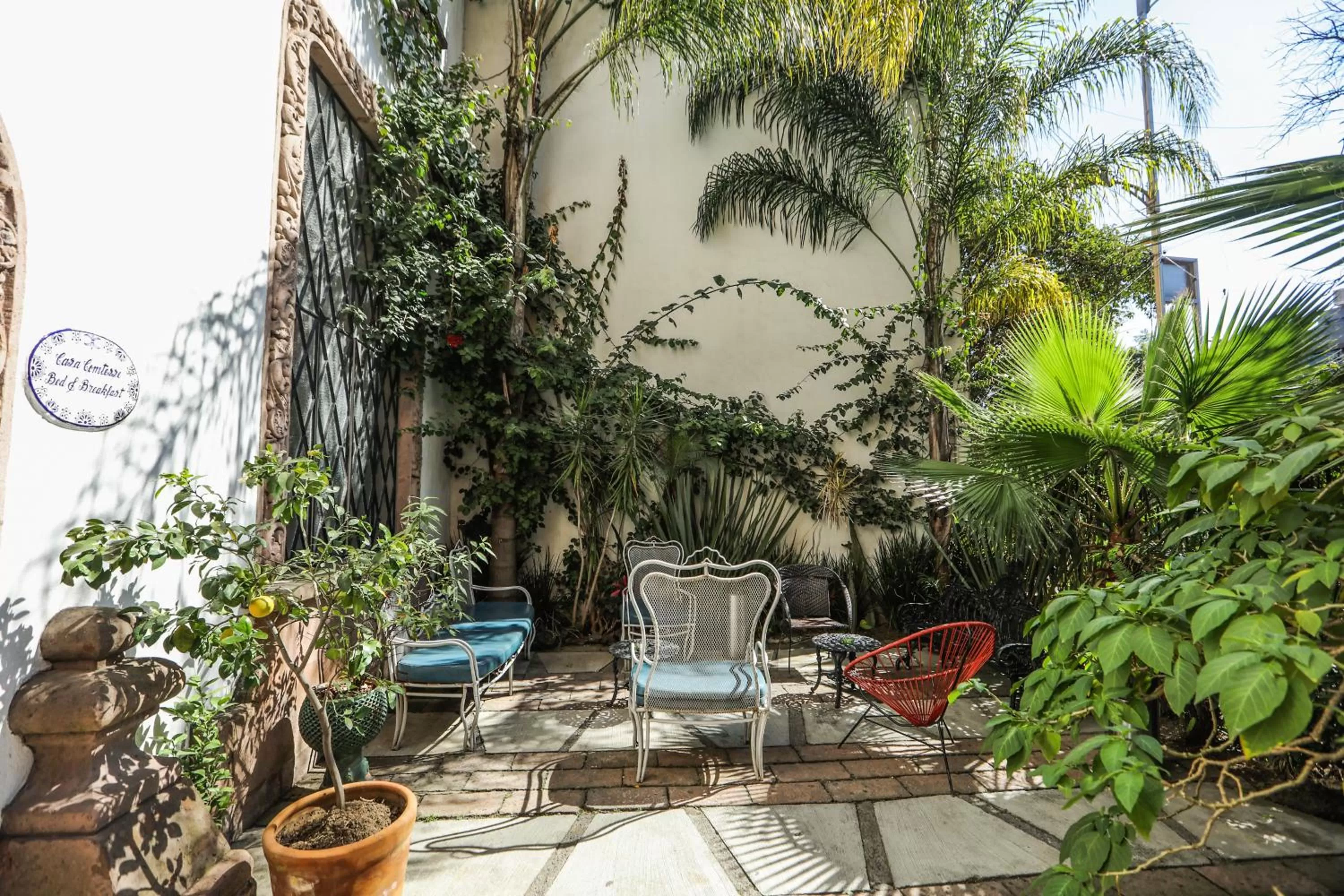 Patio in Casa Comtesse