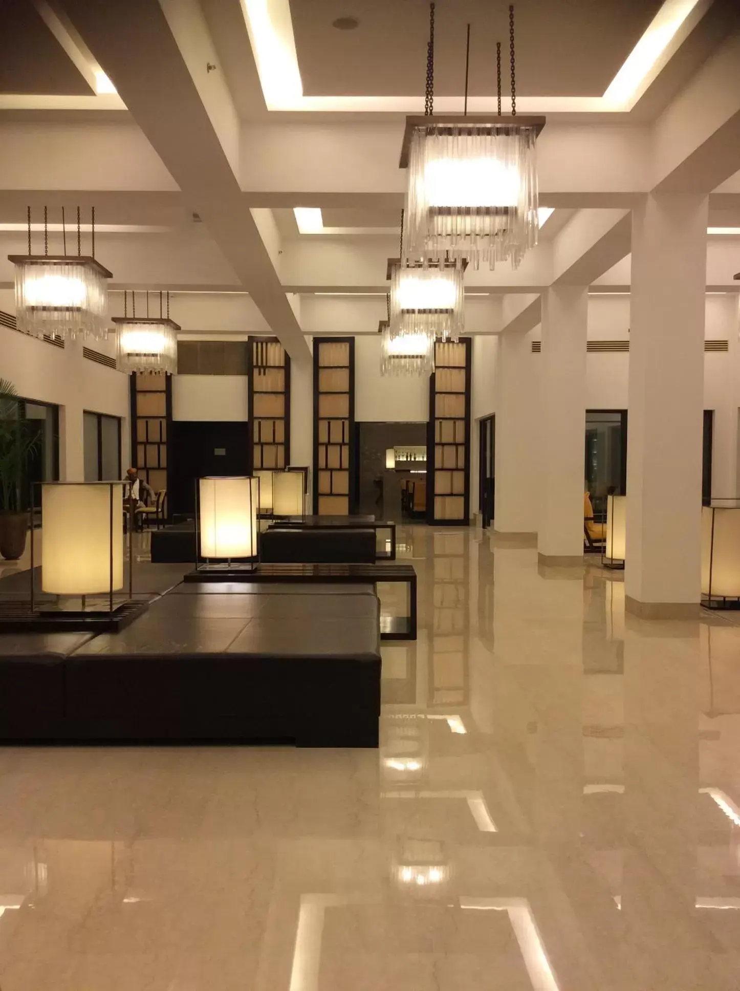 Lobby/Reception in Trident Agra