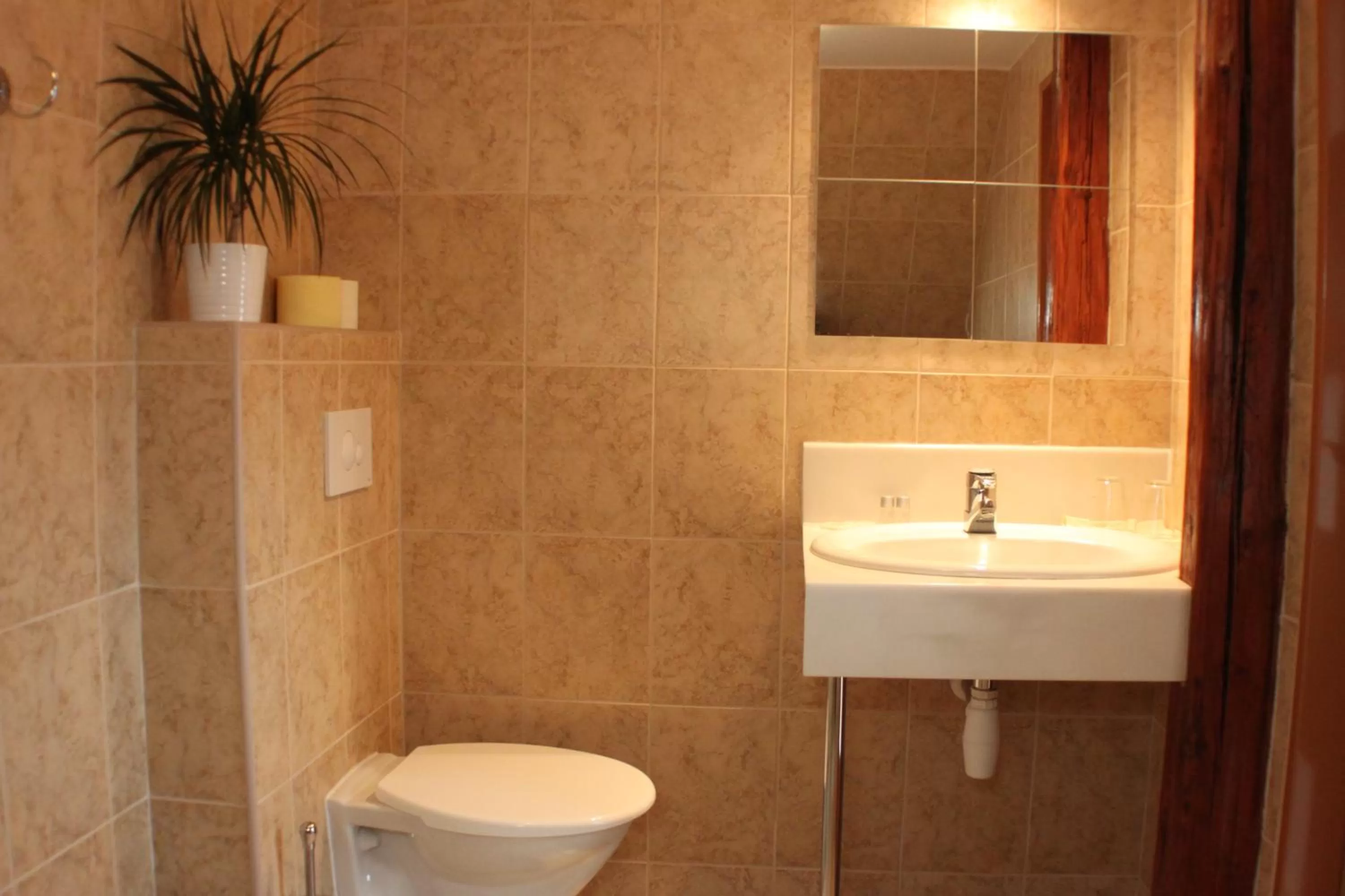 Bathroom in U Dobrého Lva
