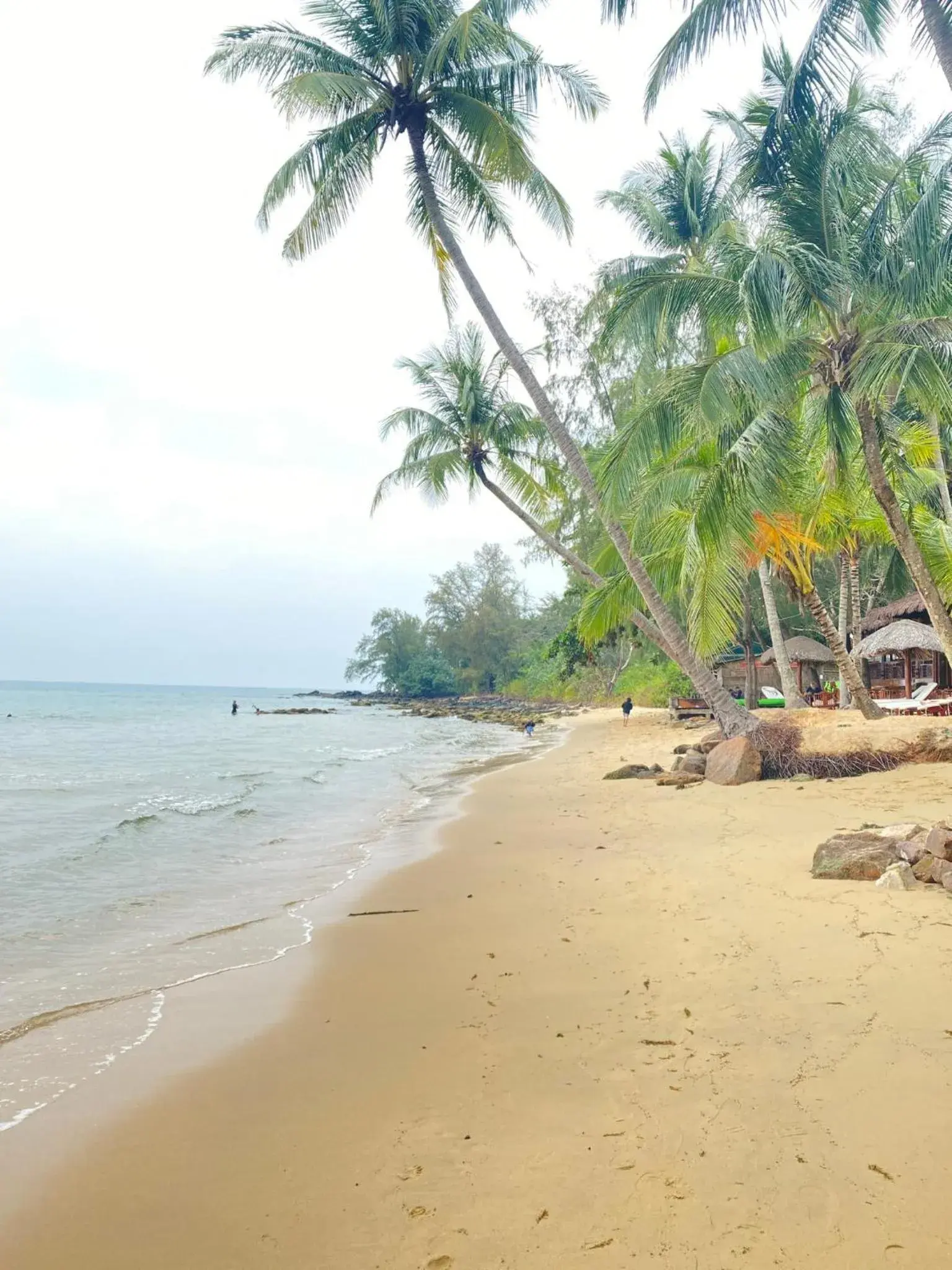 Beach in Coco Palm Beach Resort & Spa