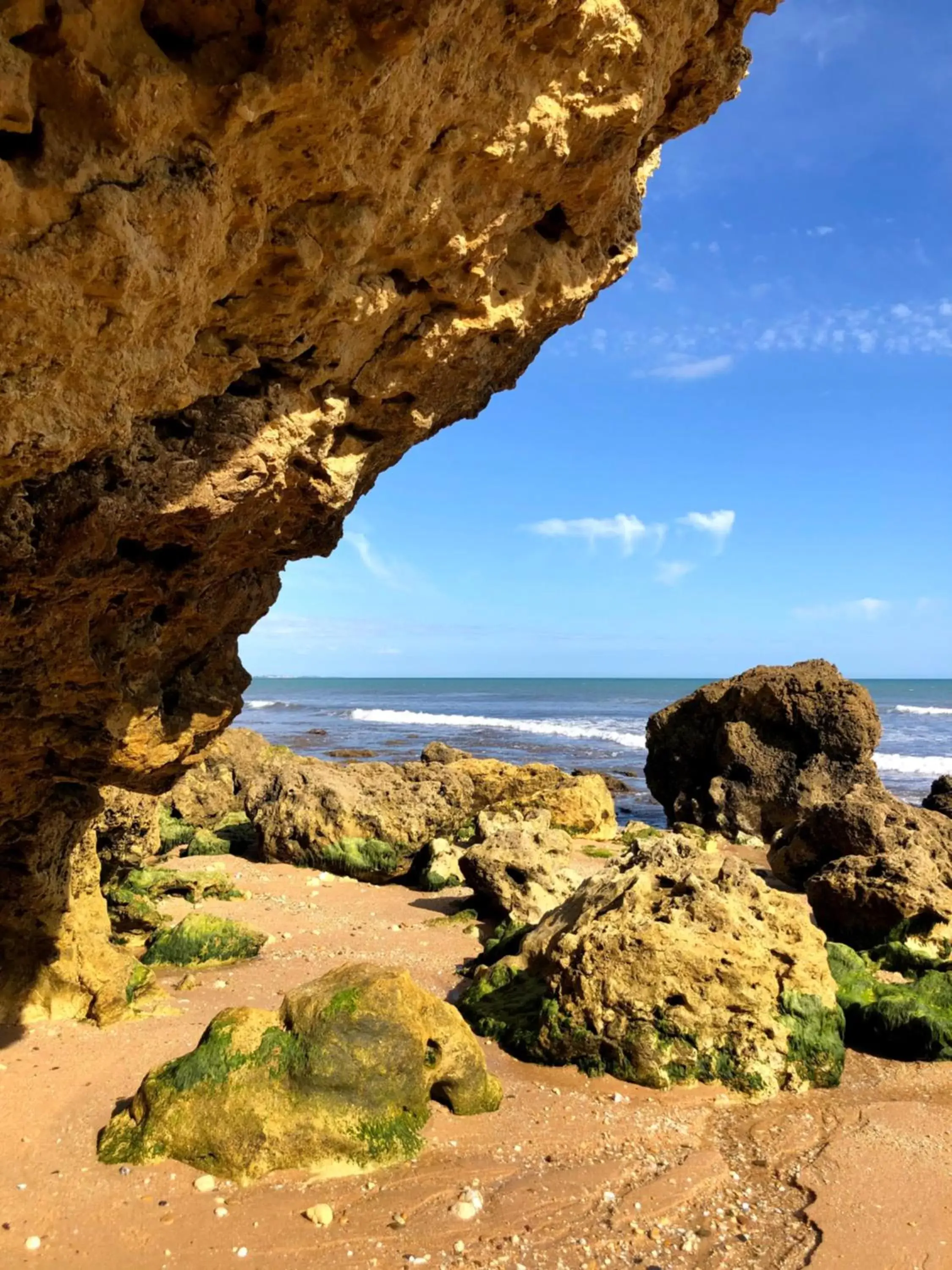 Natural Landscape in Quinta Pedra Dos Bicos