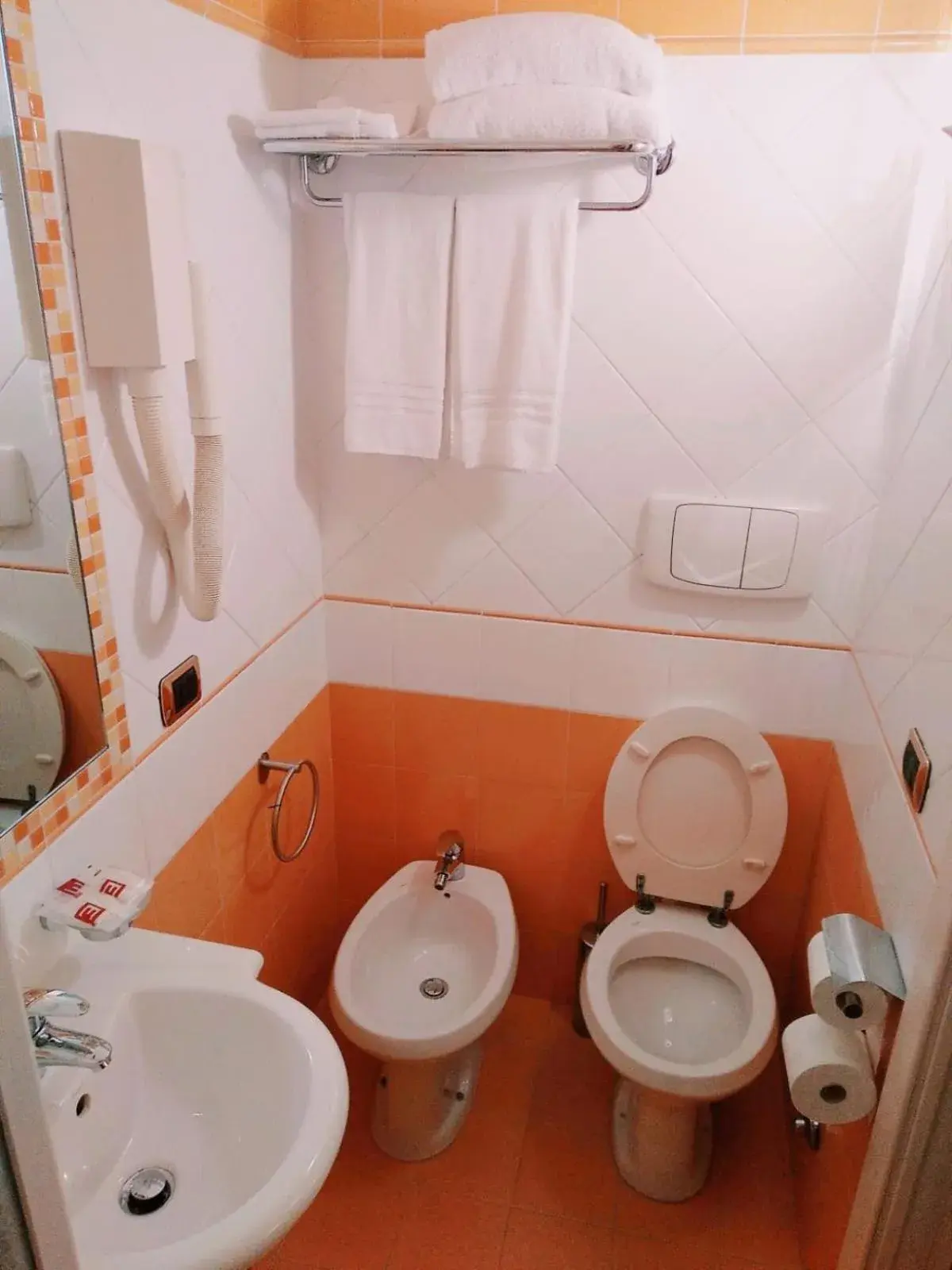 Toilet, Bathroom in Hotel Fenicia