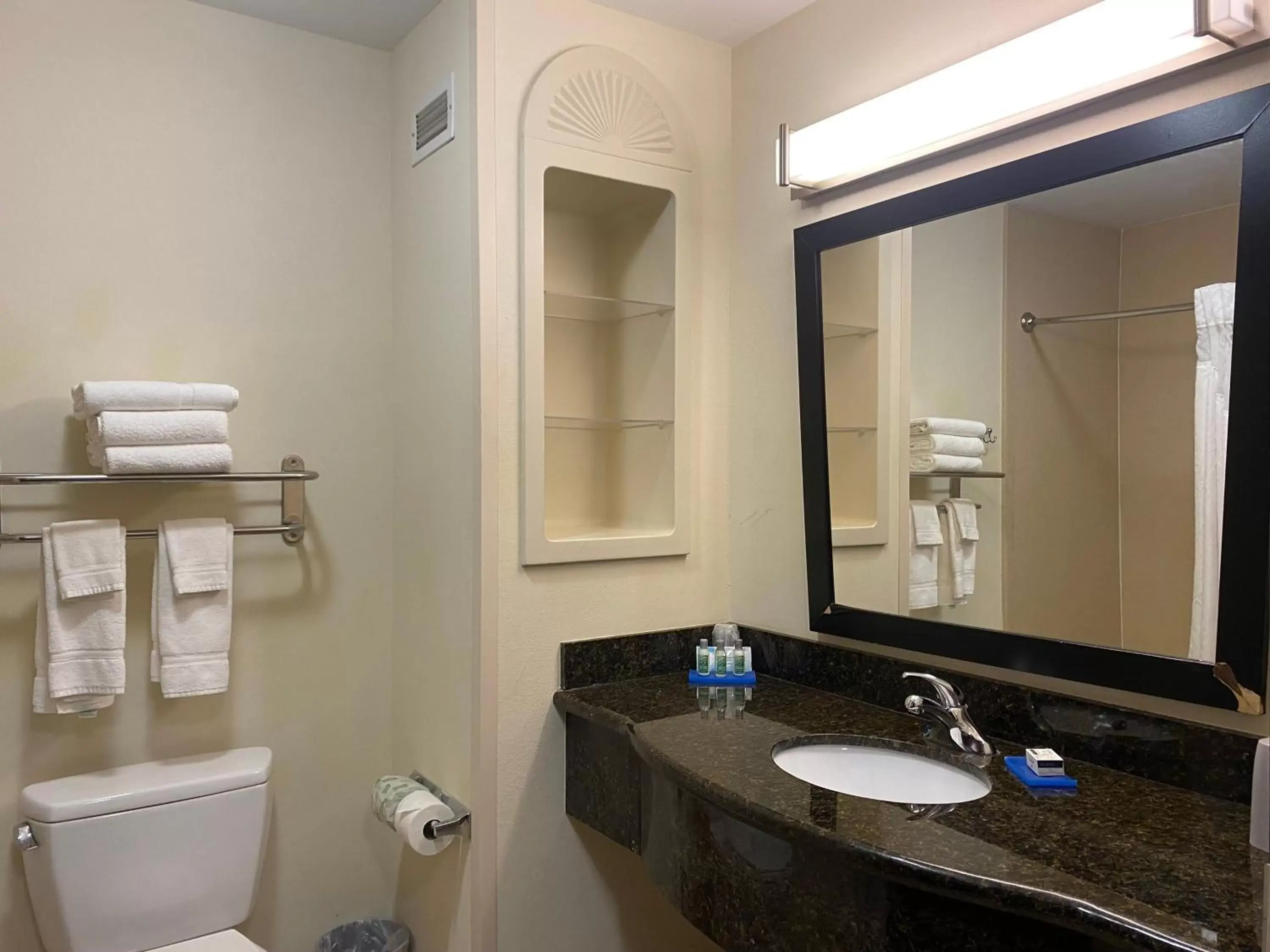 Bathroom in Holiday Inn Express Hotel and Suites - Odessa, an IHG Hotel